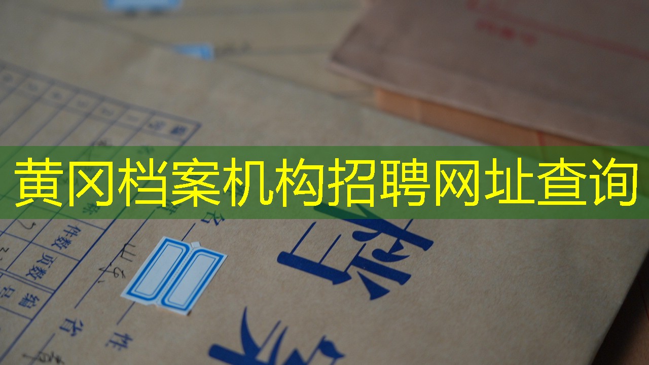 档案查询