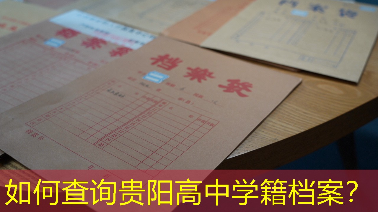 档案查询