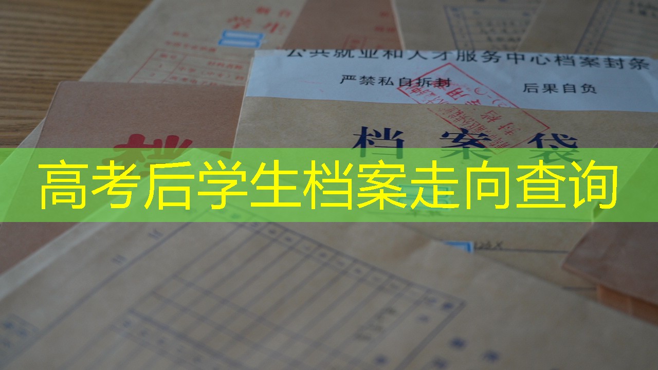 档案查询