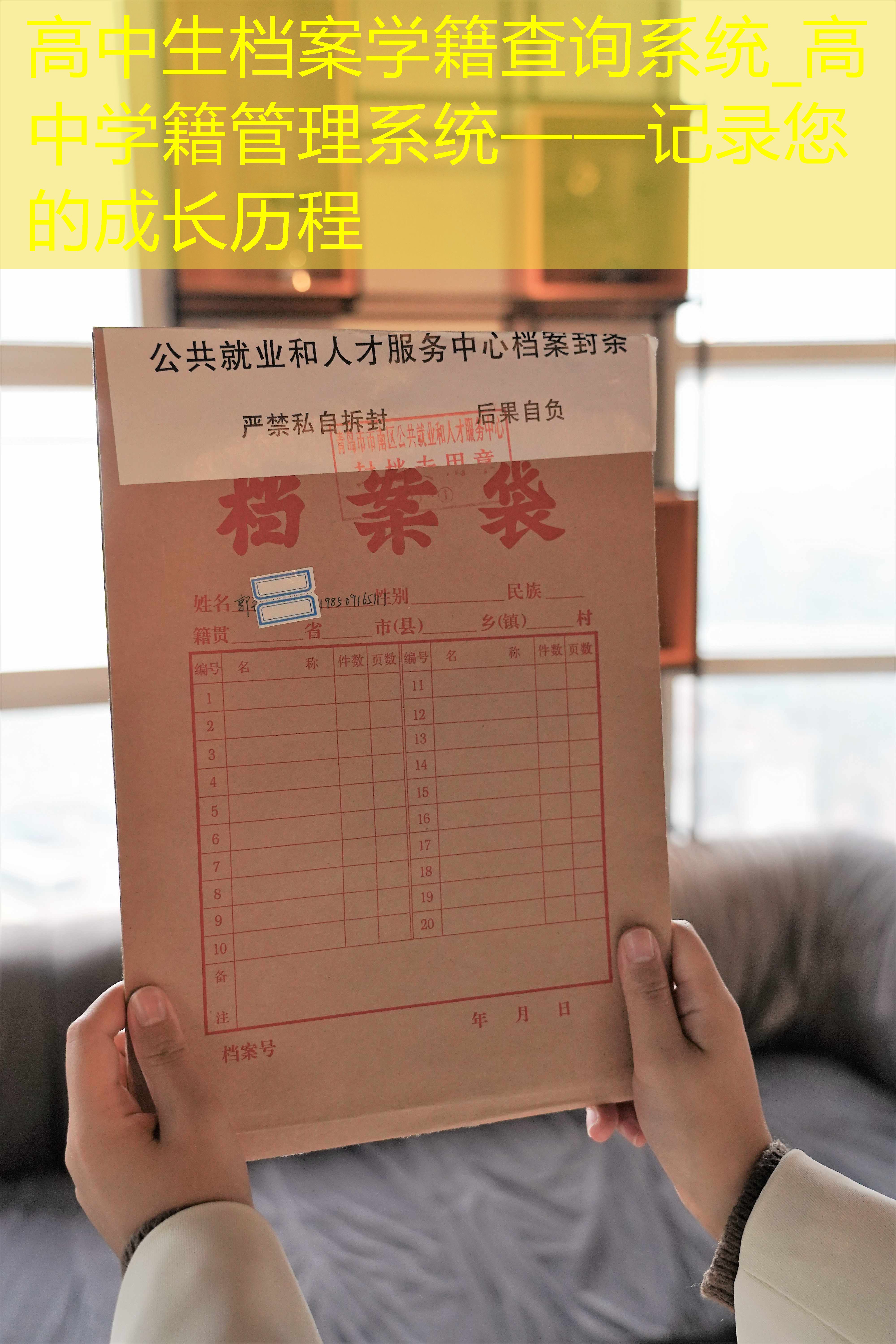 档案查询