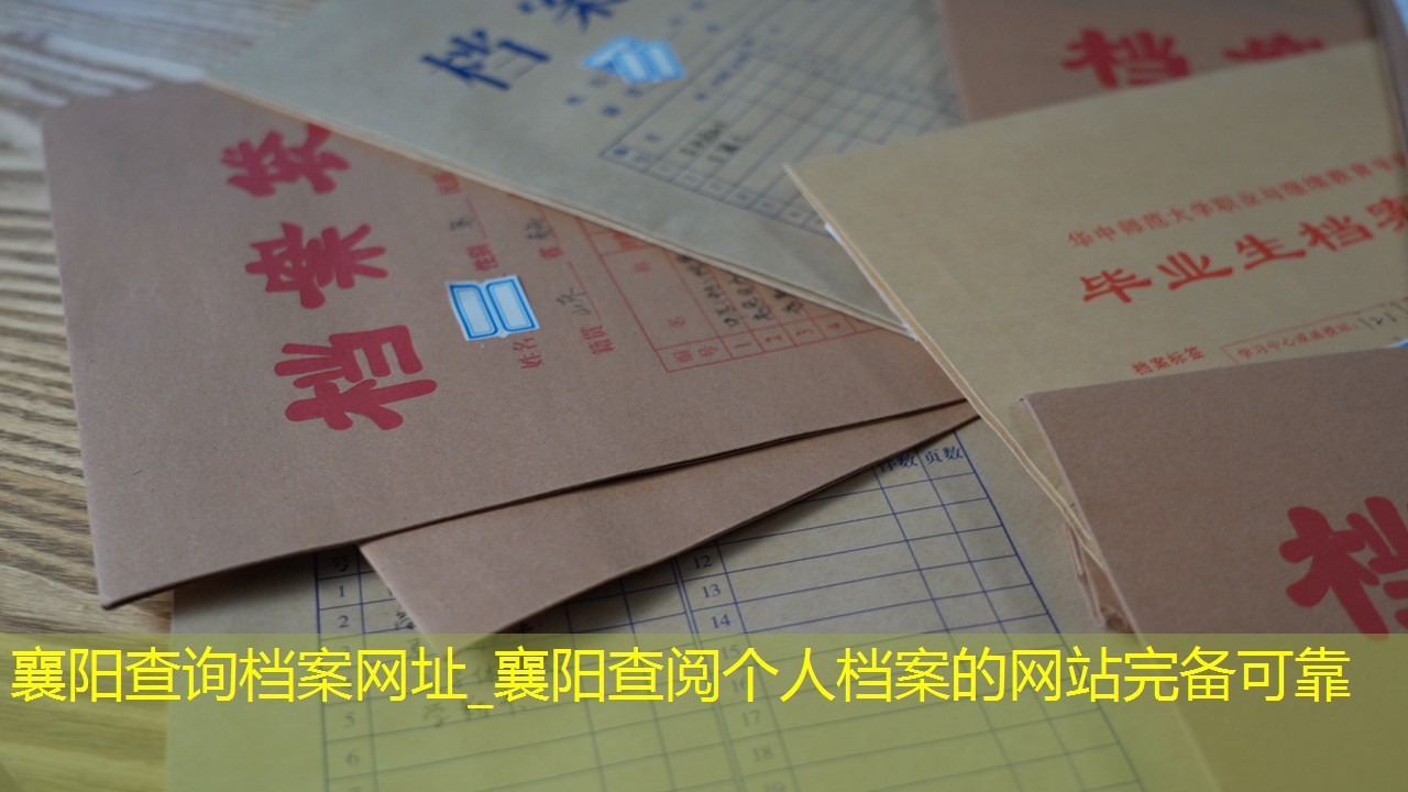 档案查询