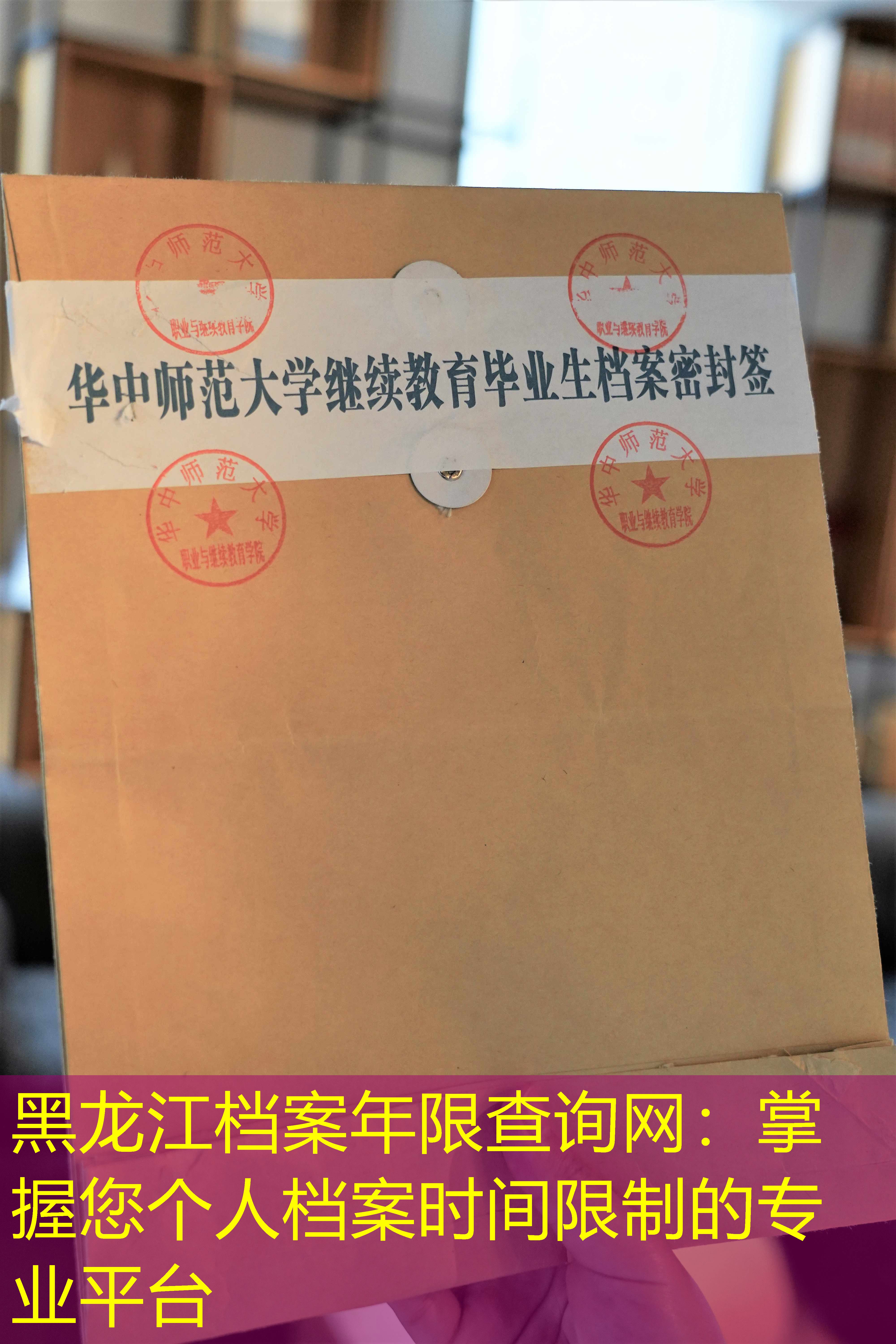 档案查询