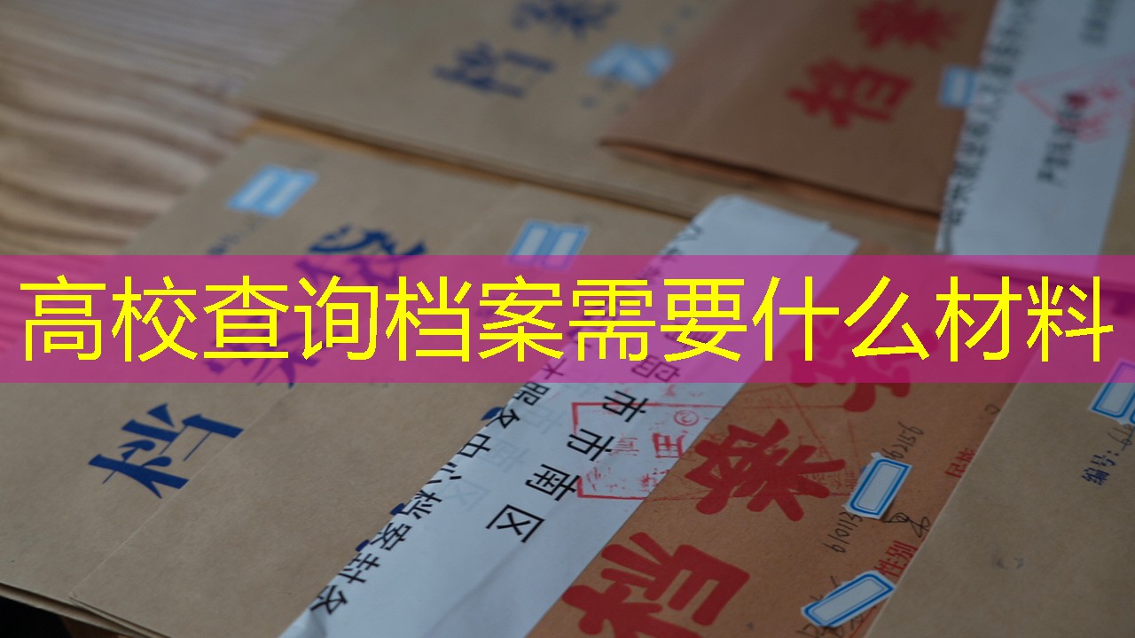 档案查询
