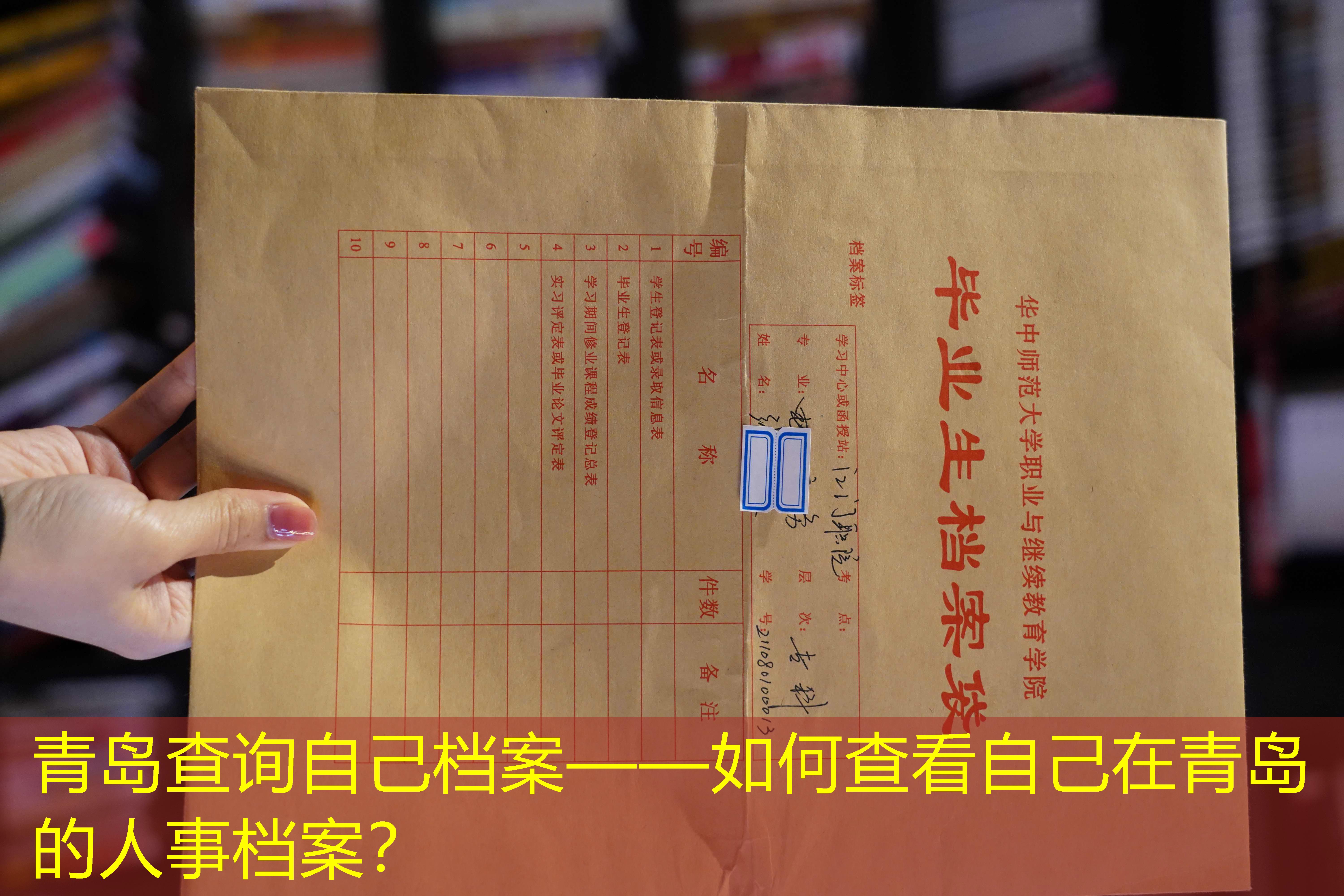 档案查询