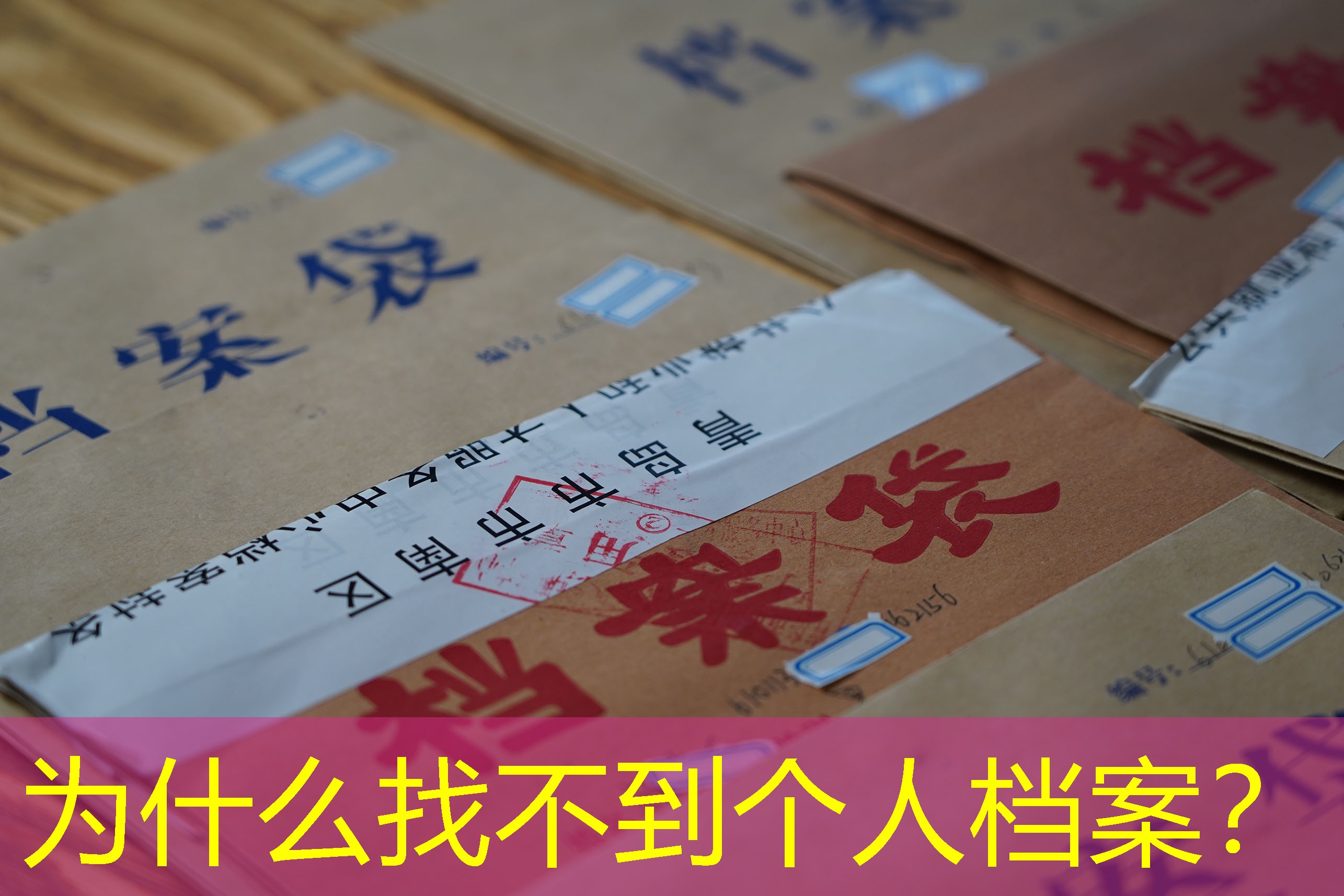 档案查询