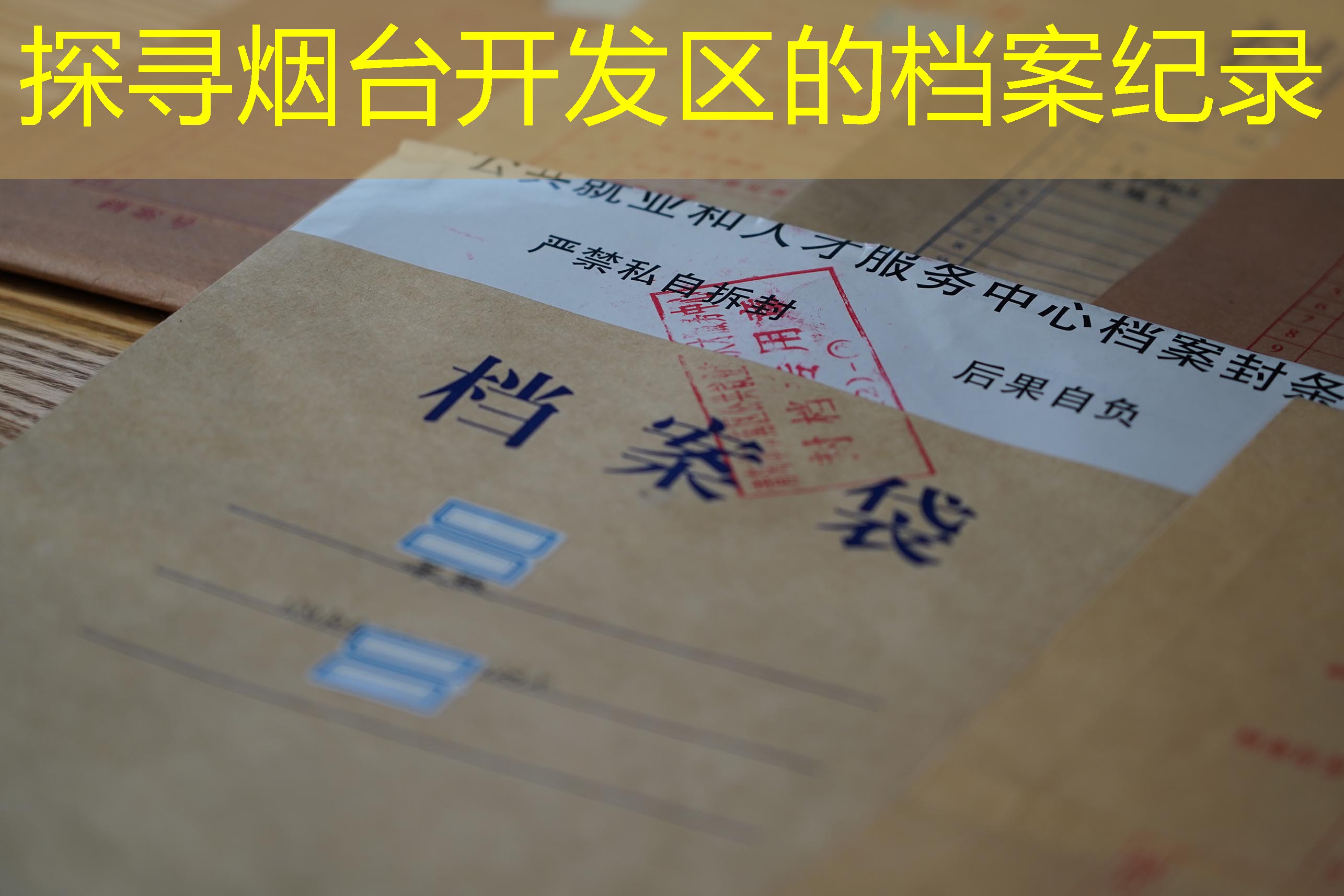档案查询