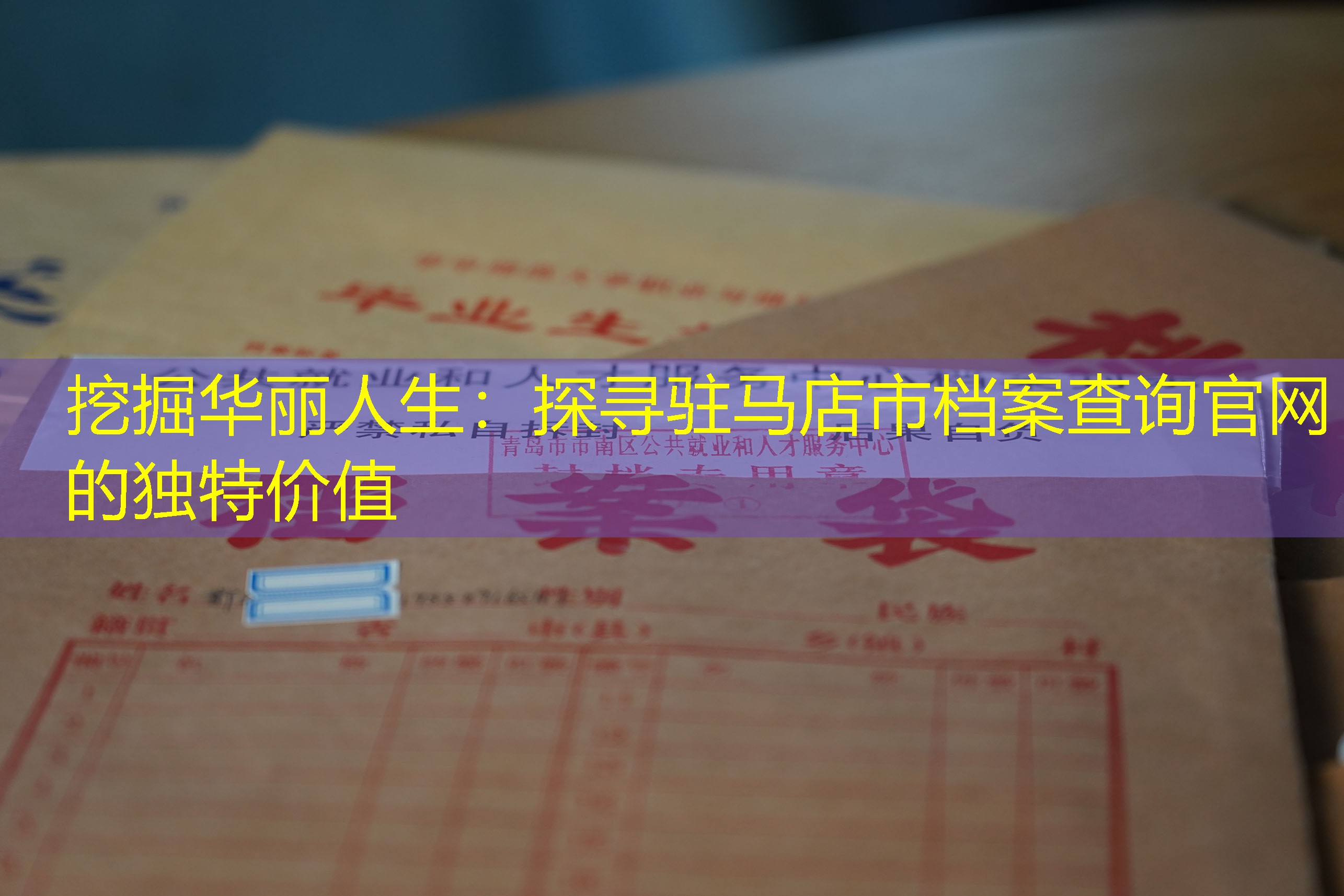 档案查询