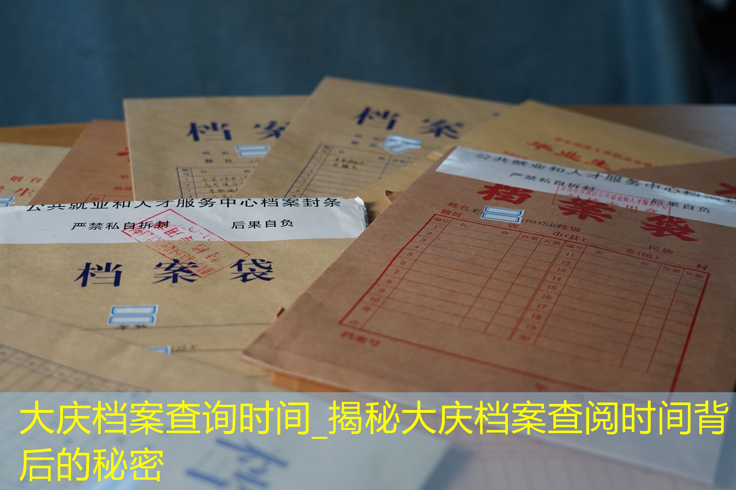 档案查询