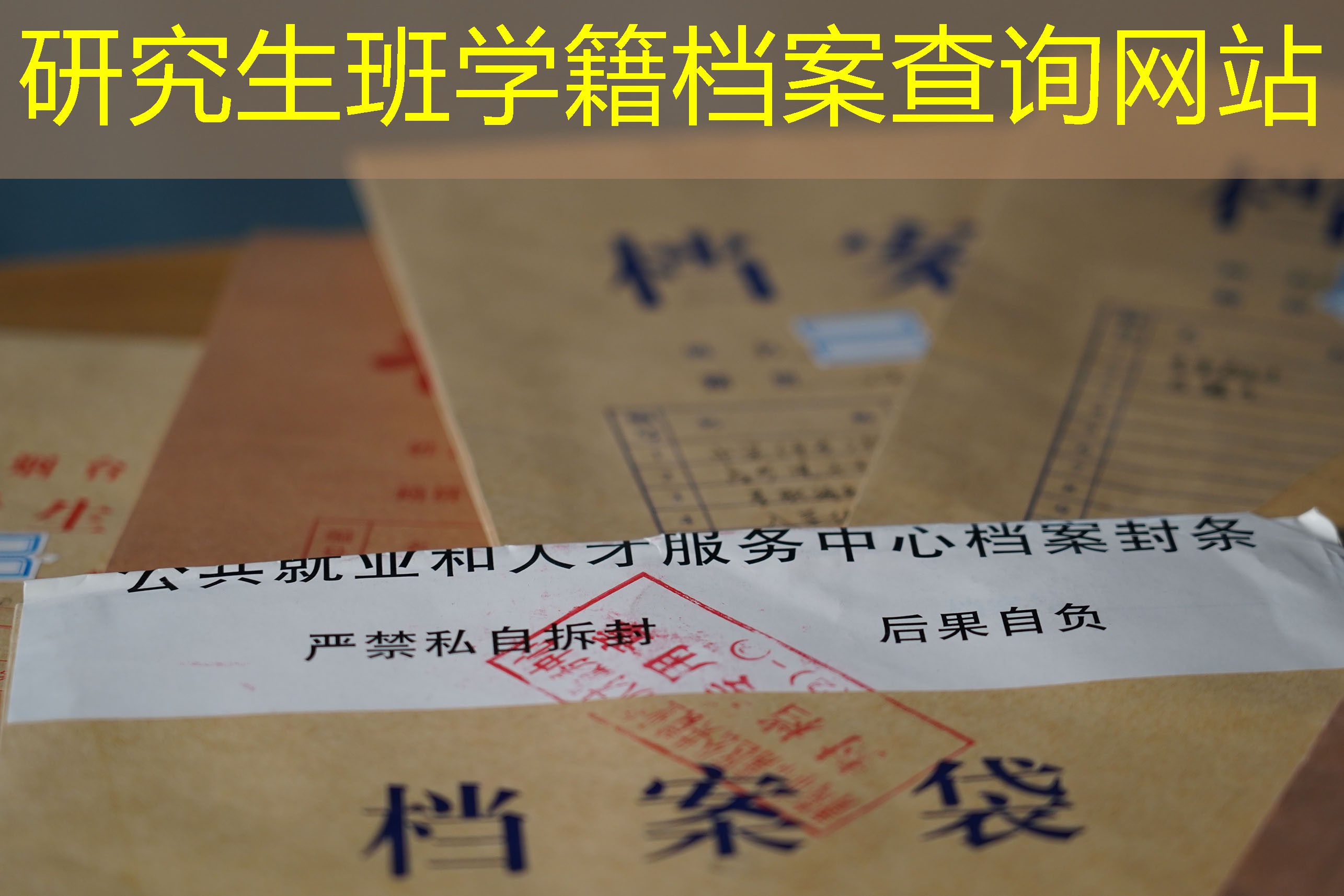 档案查询
