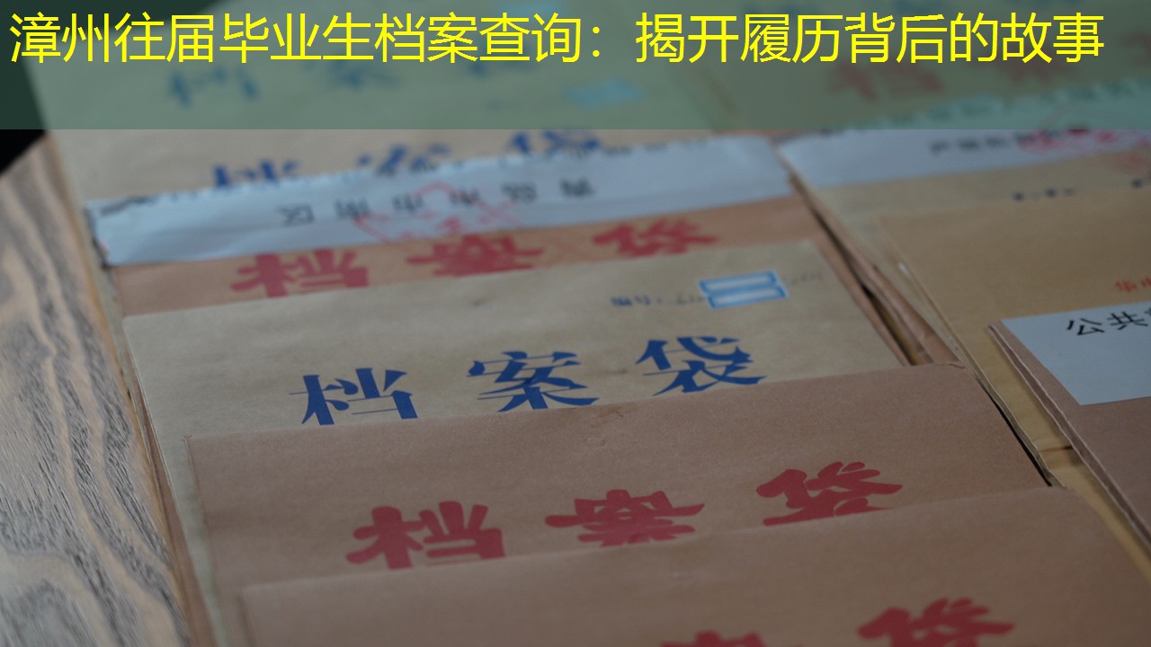 档案查询