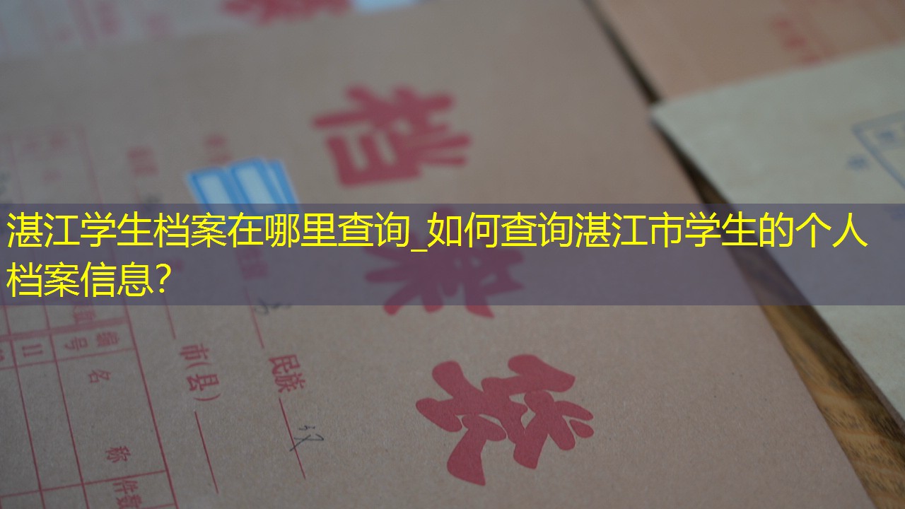 档案查询