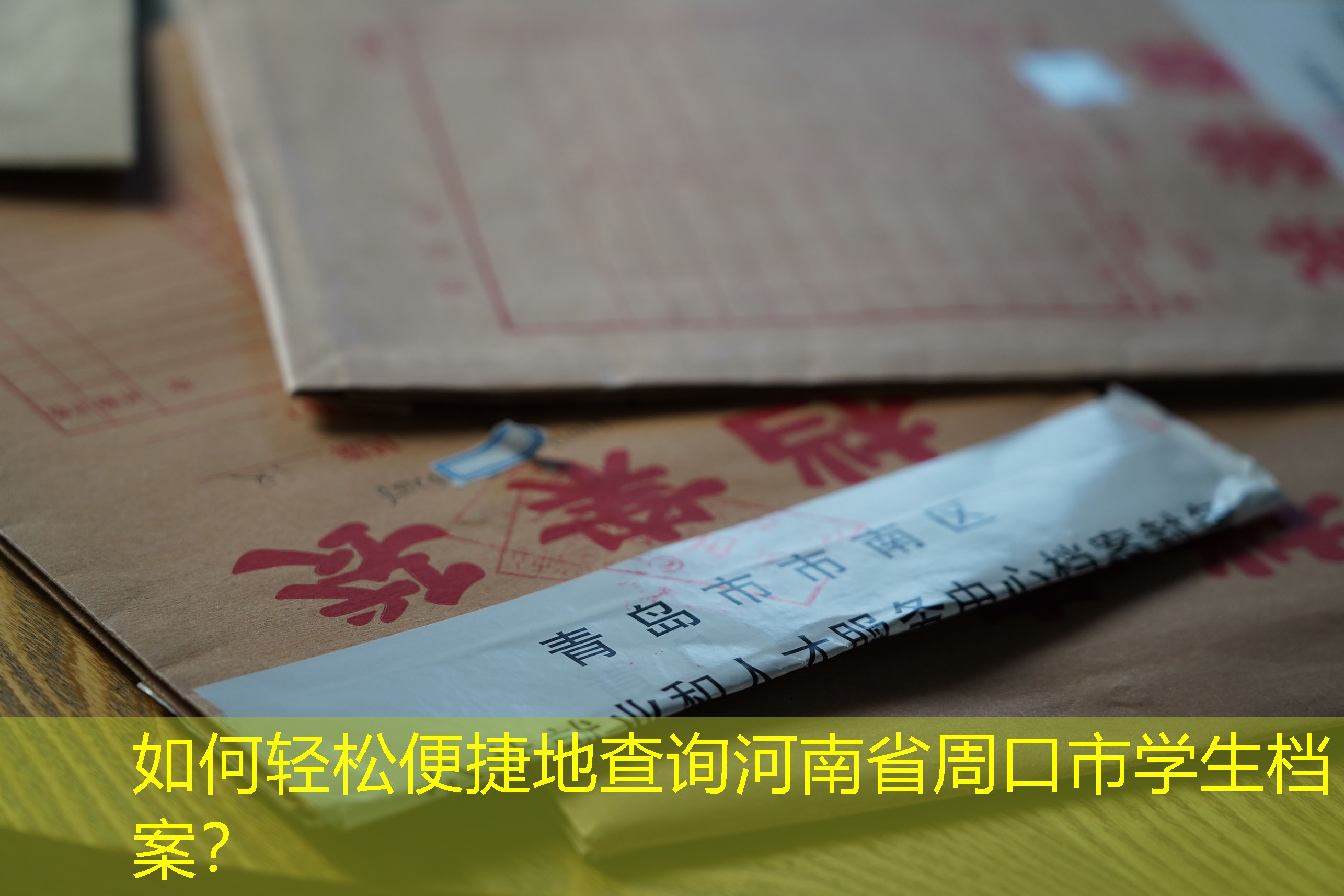 档案查询