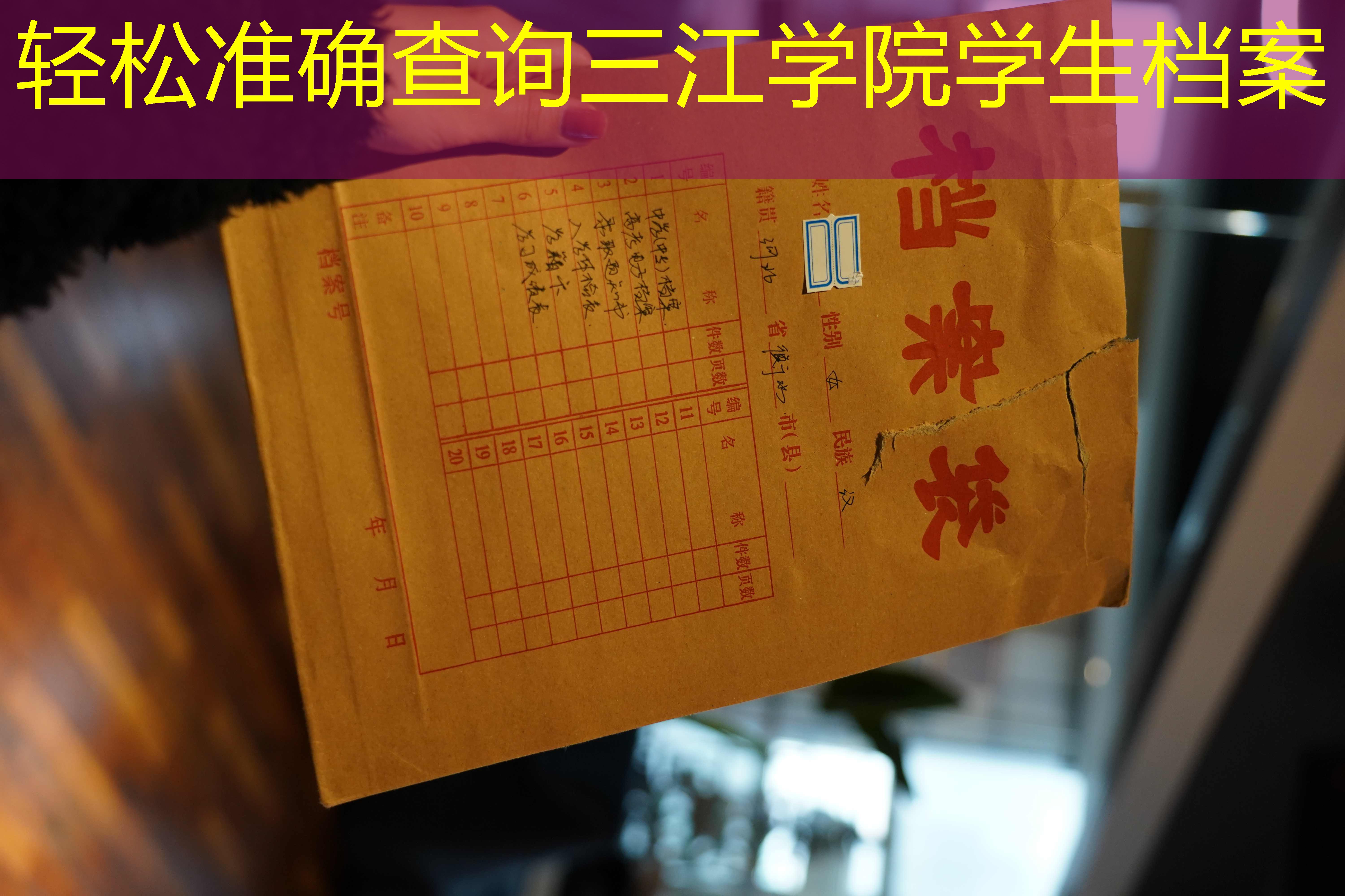 档案查询