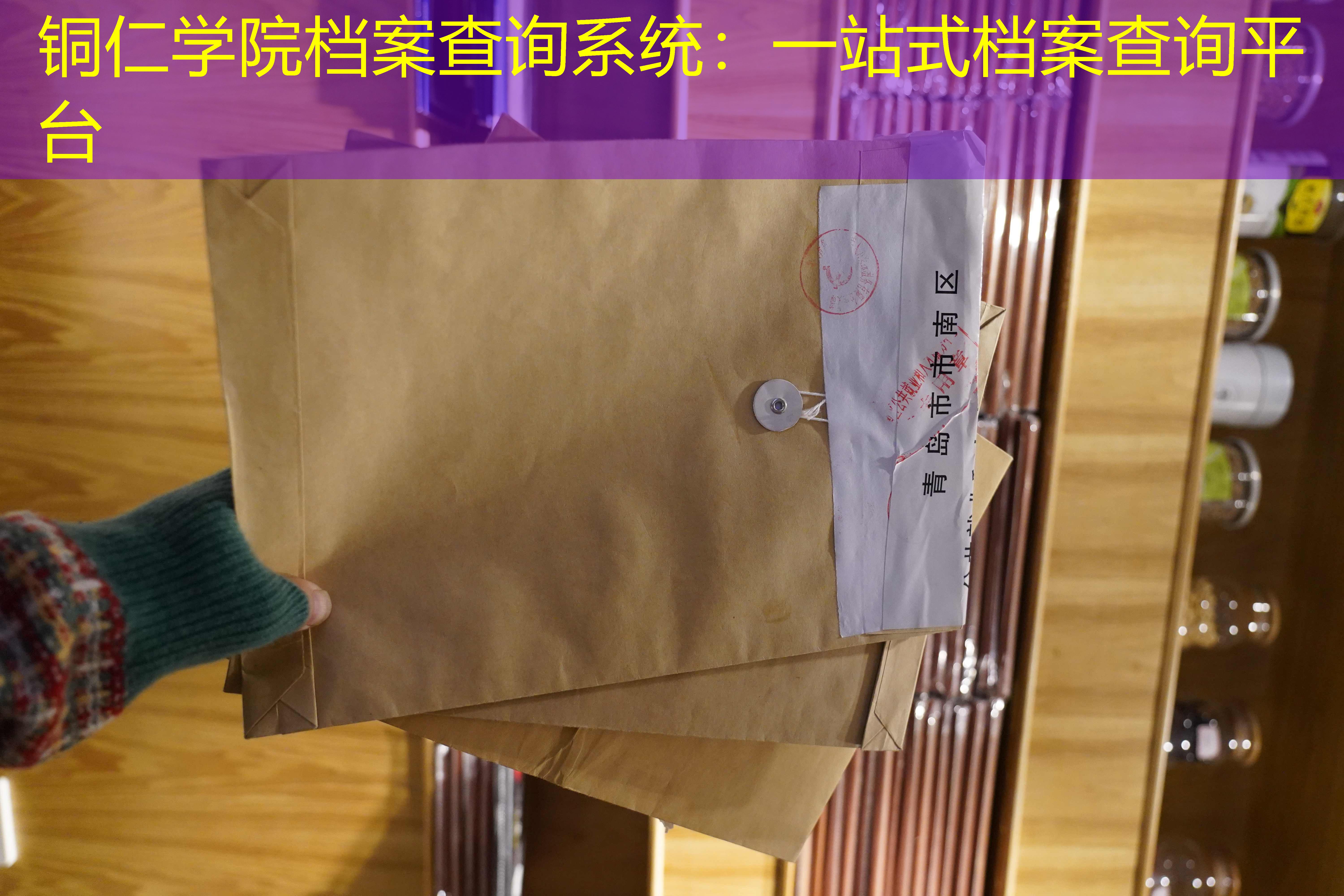 档案查询