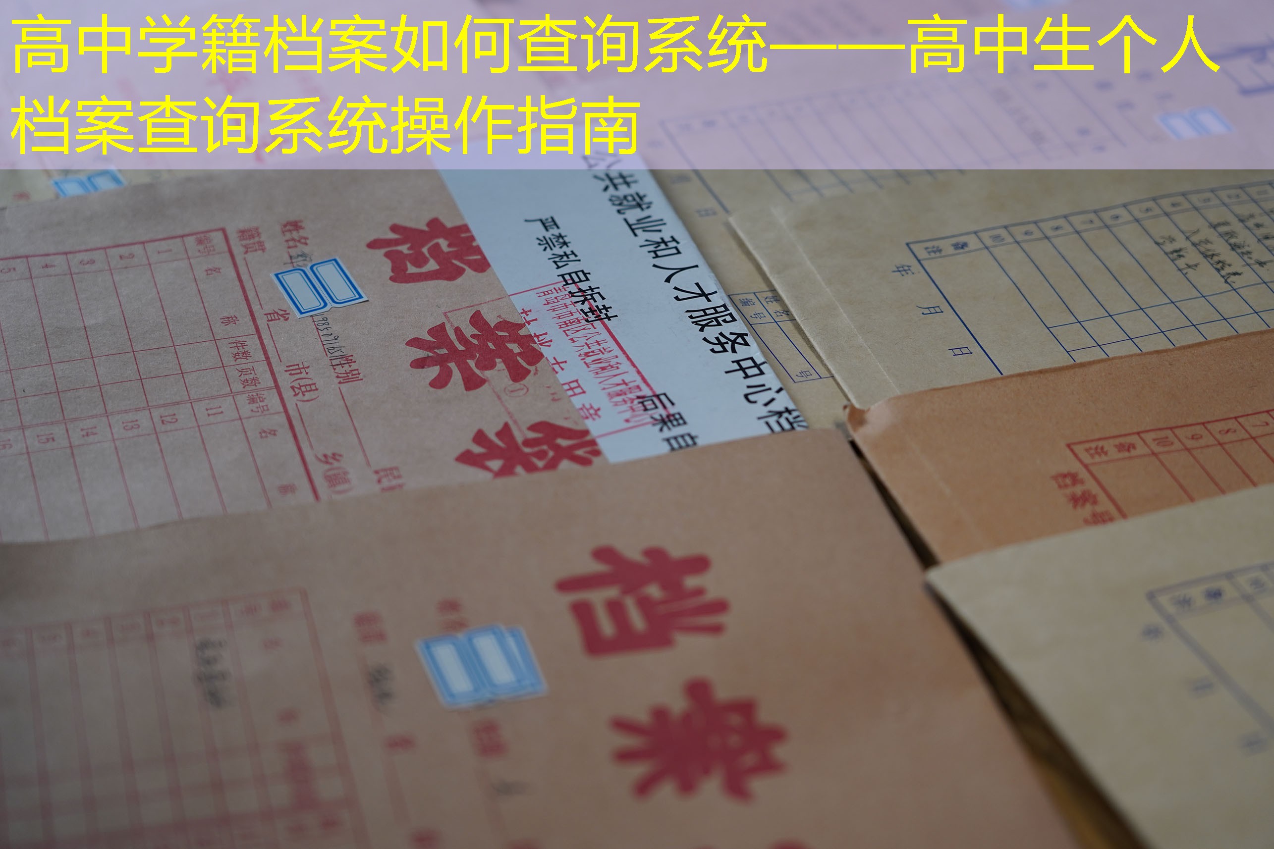 档案查询