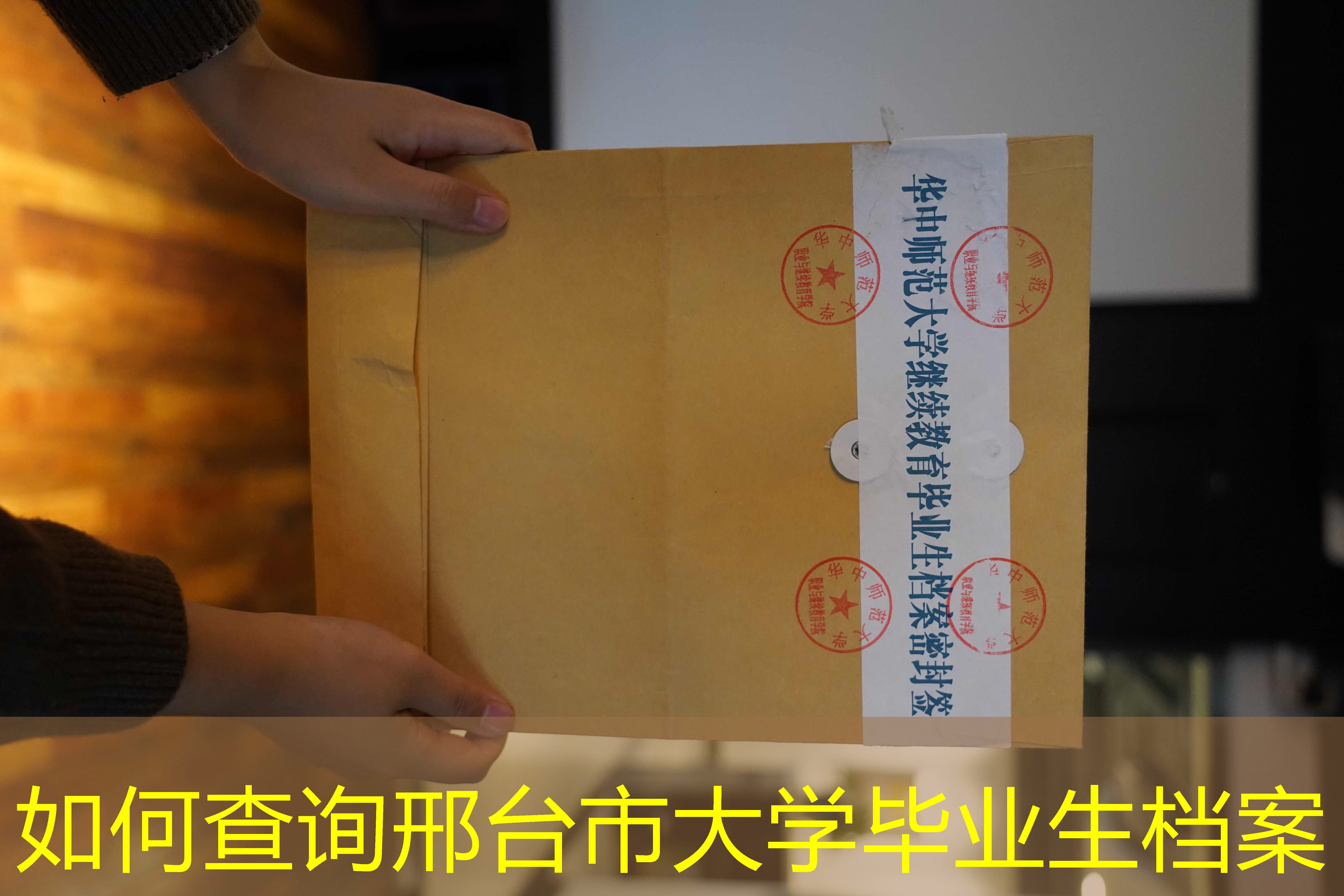 档案查询