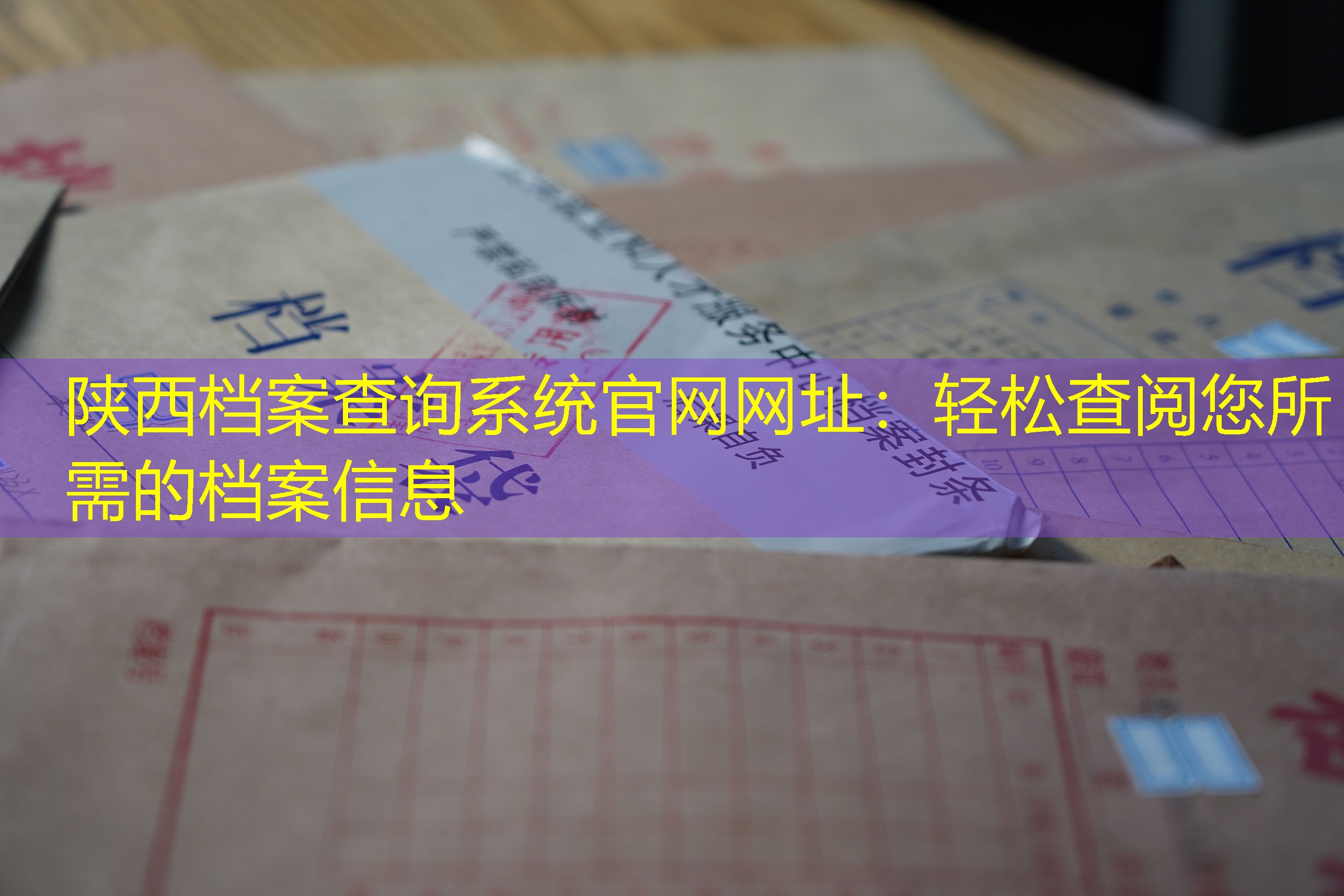 档案查询