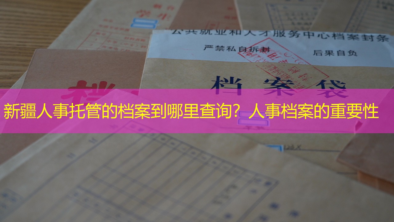 档案查询