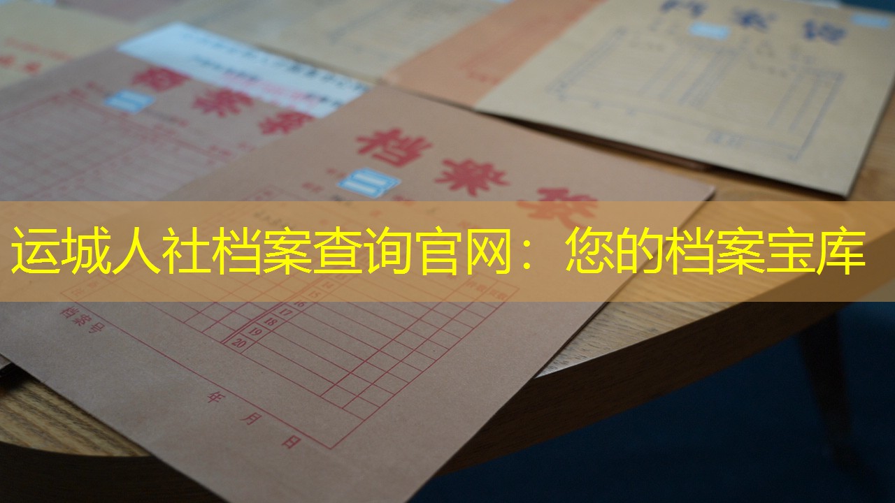 档案查询