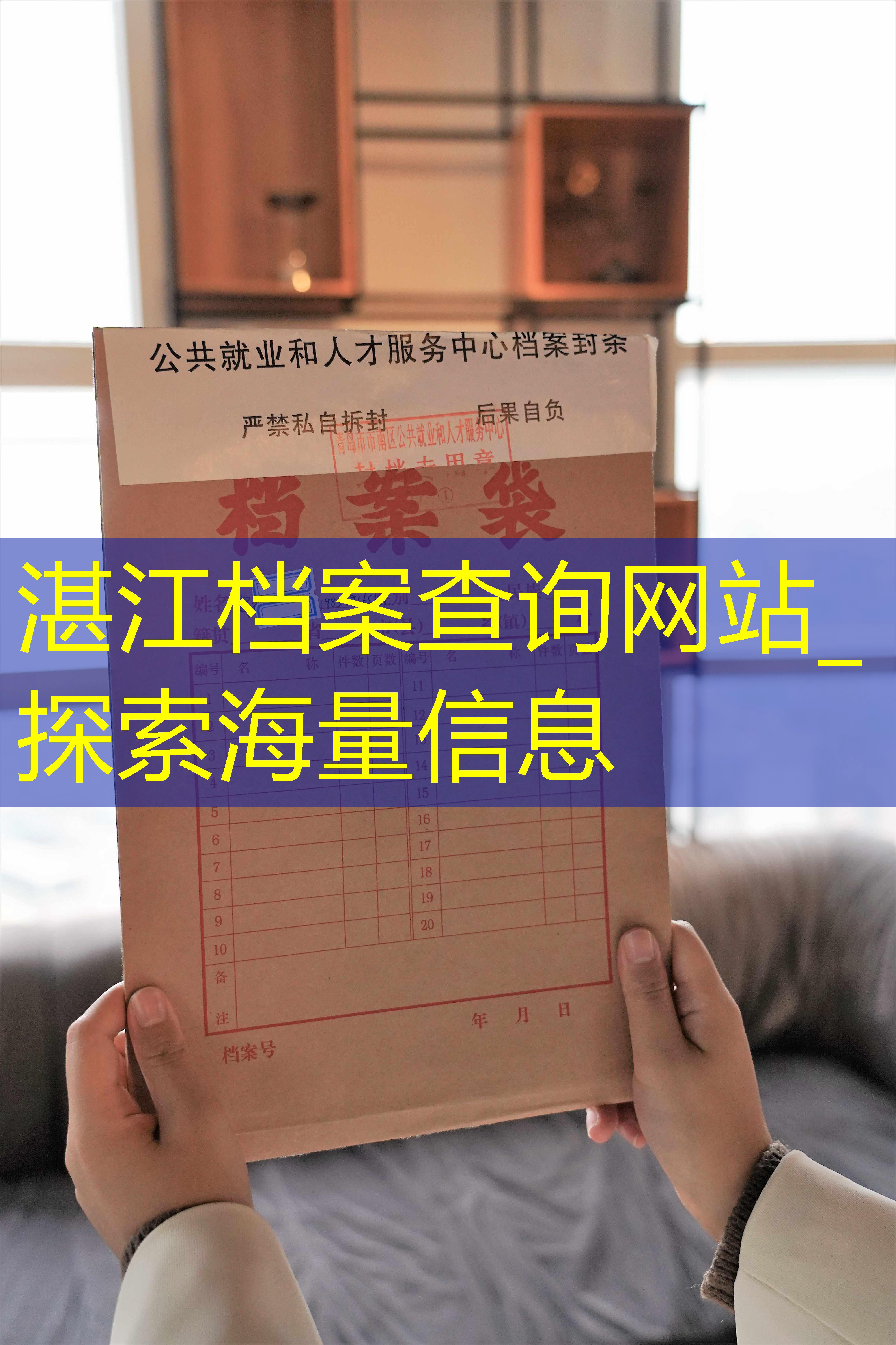 档案查询