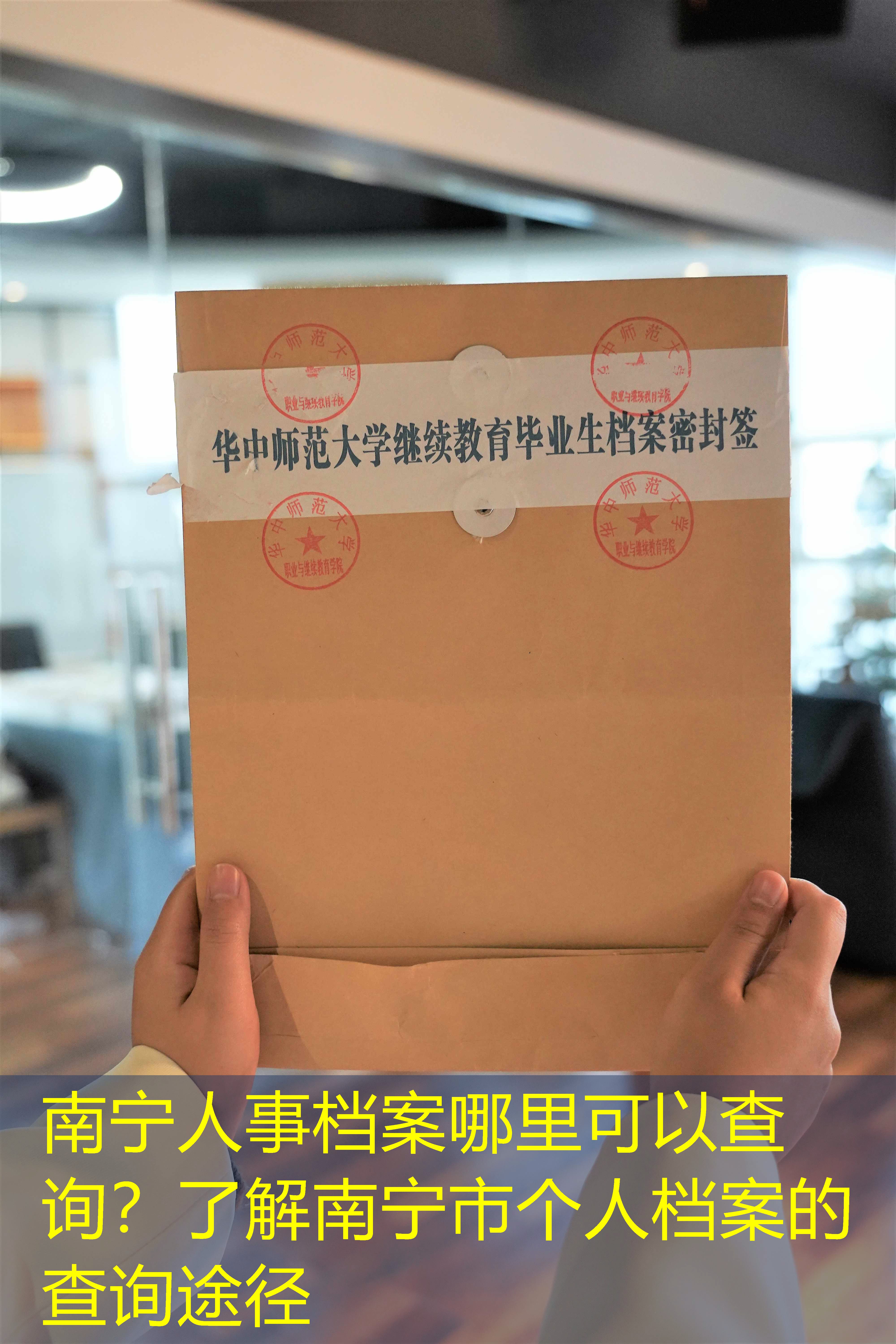 档案查询