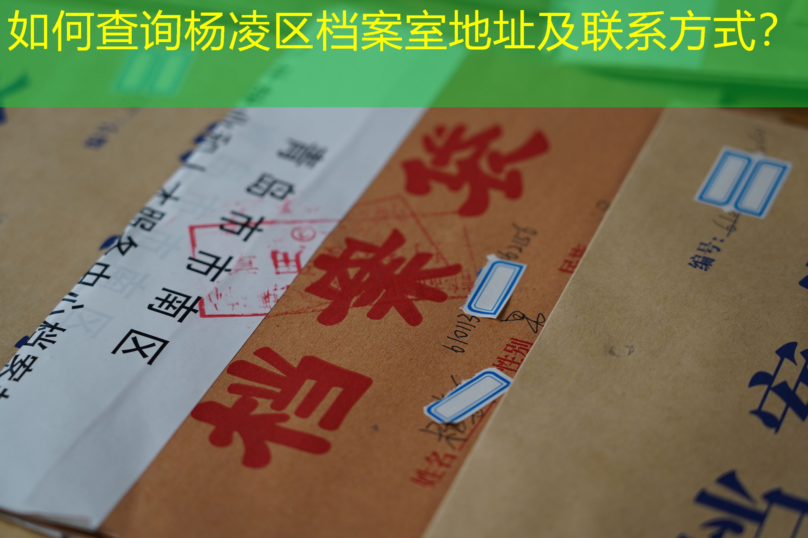 档案查询