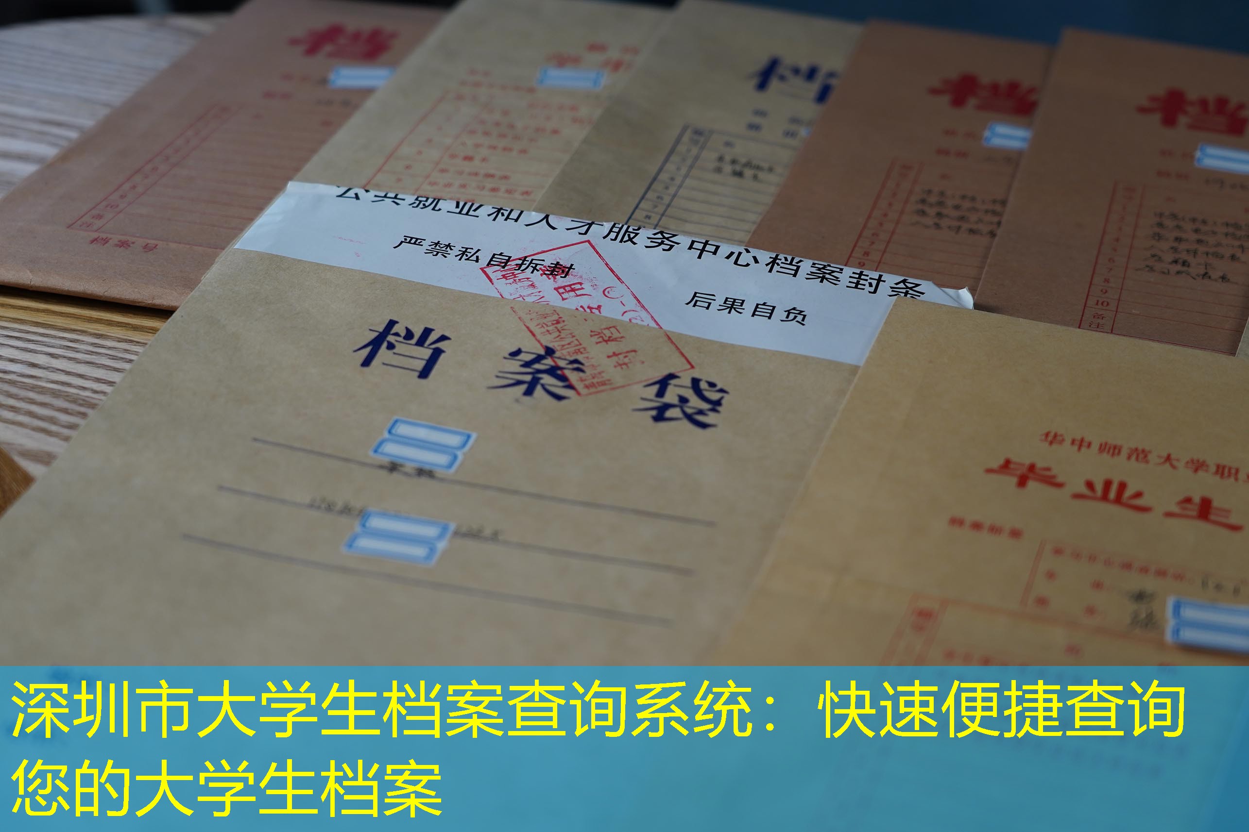 档案查询