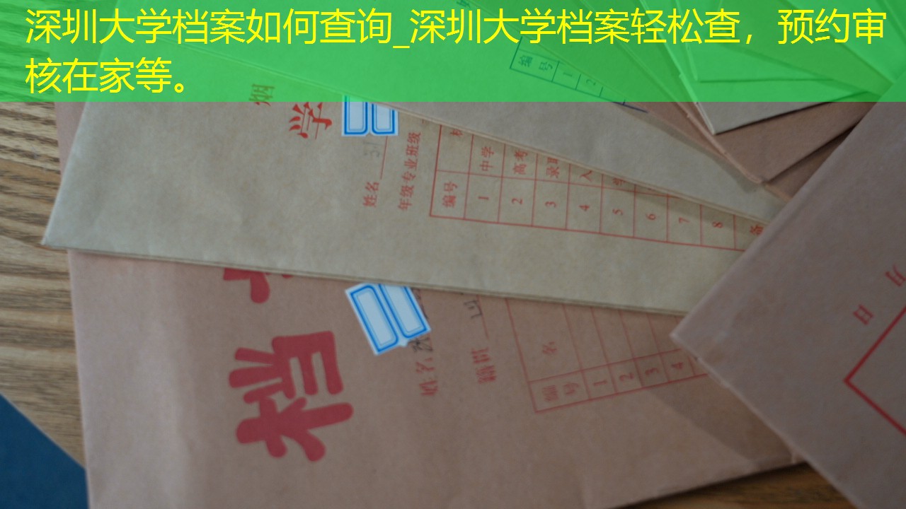 档案查询