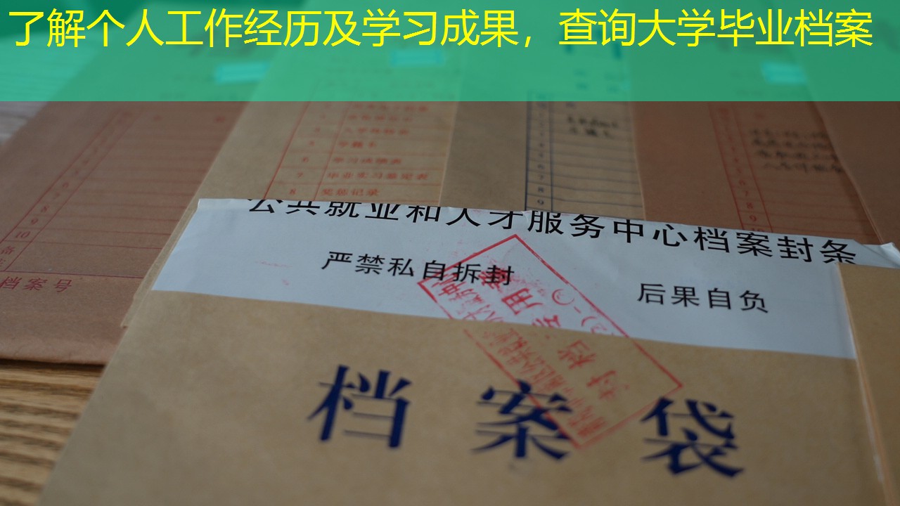 档案查询