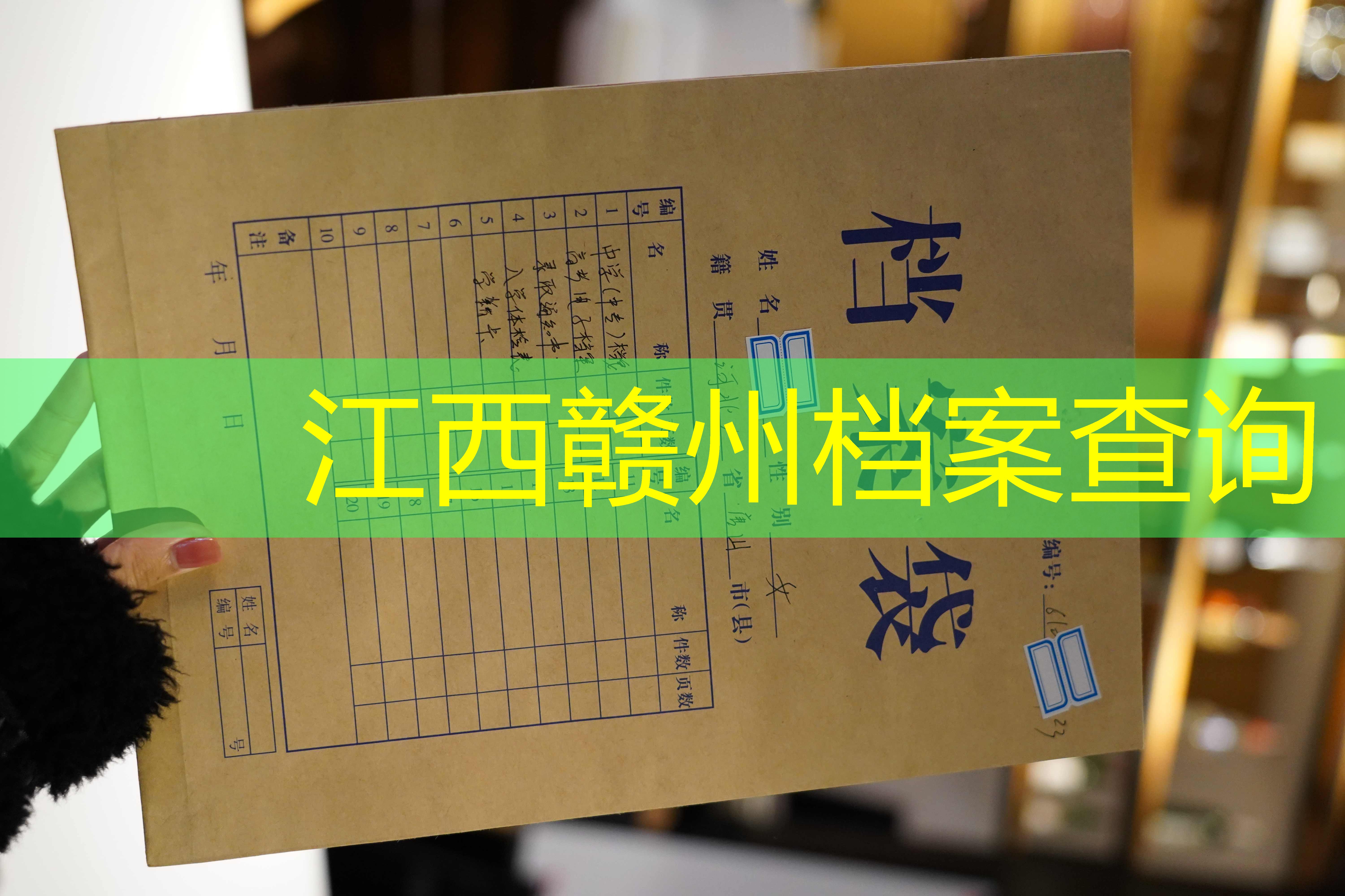 档案查询