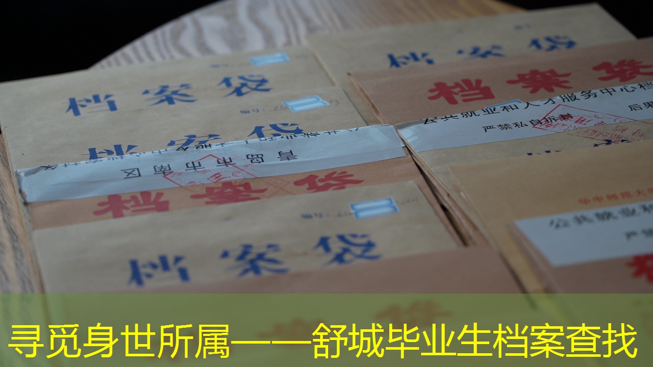 档案查询
