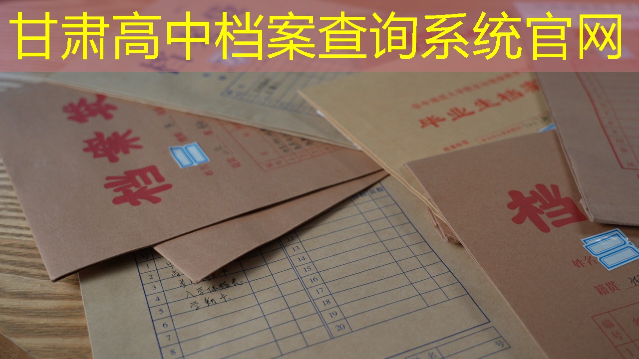 档案查询