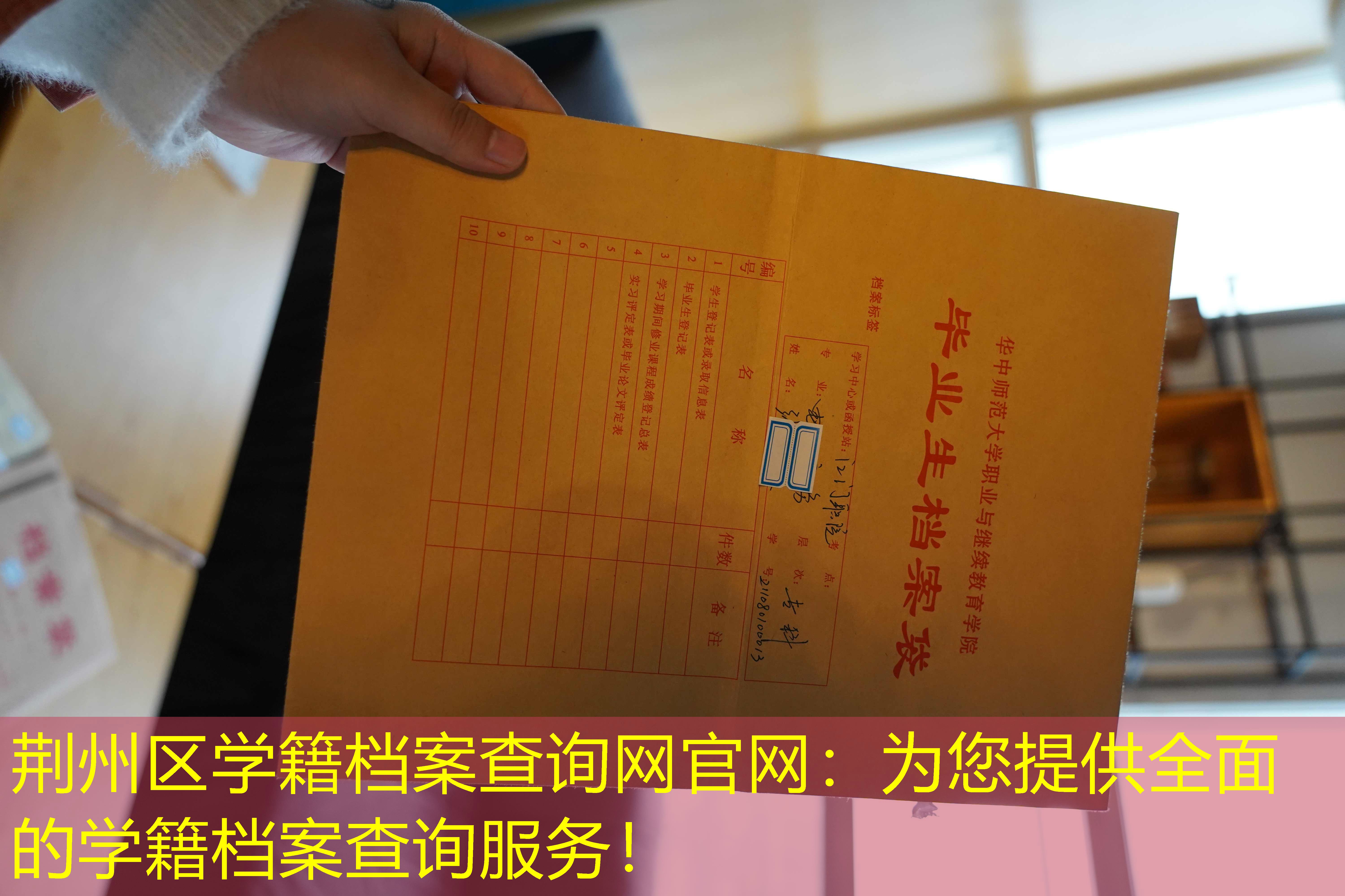 档案查询