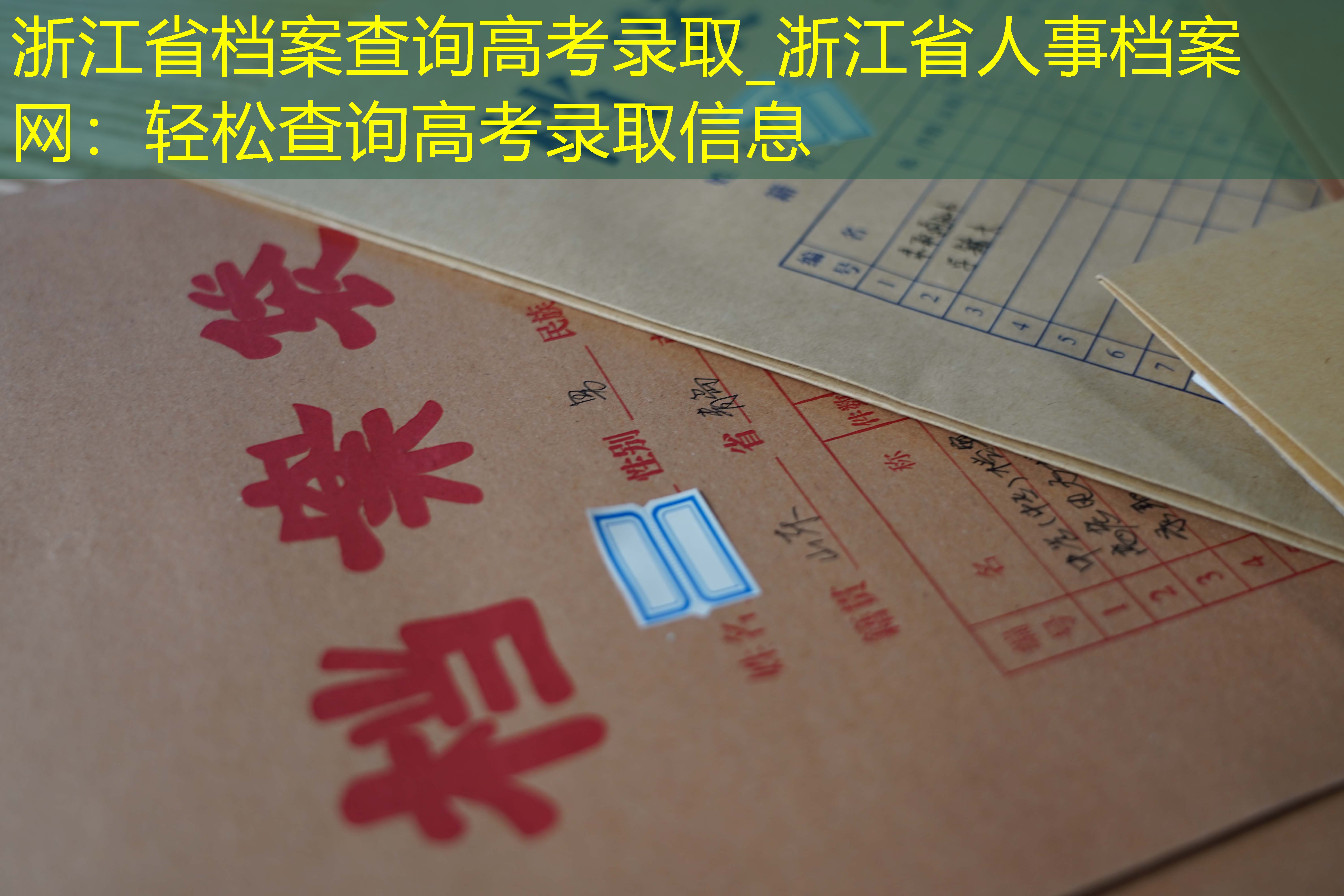 档案查询