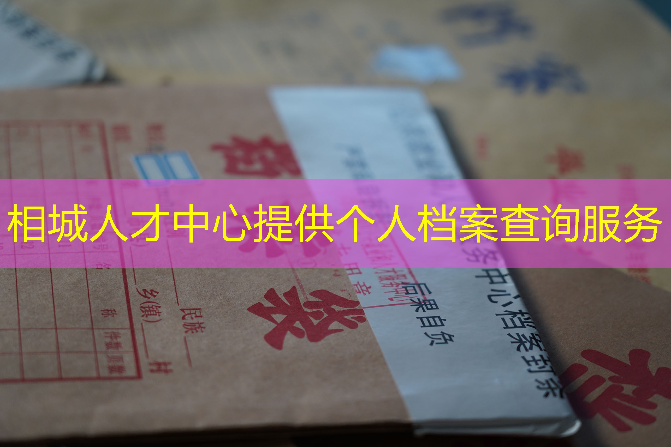 档案查询