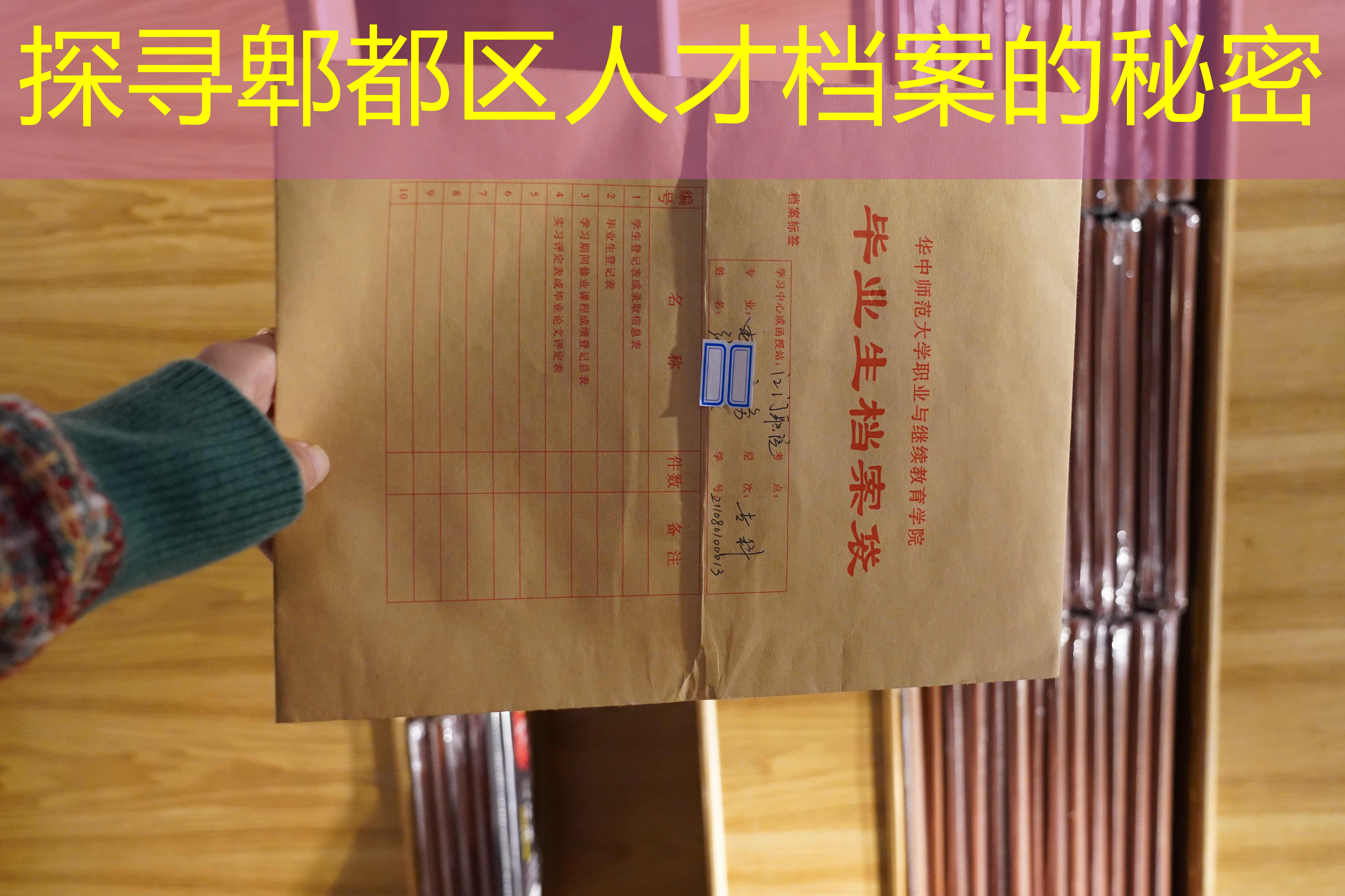 档案查询