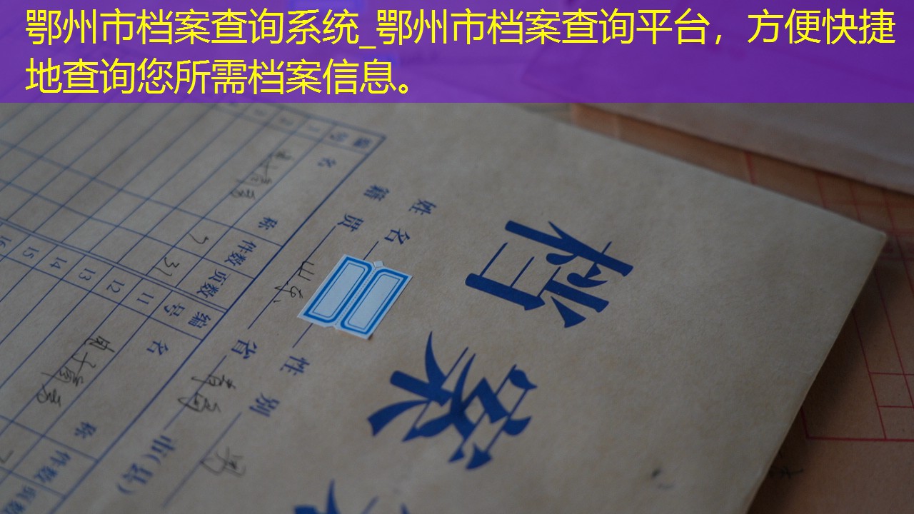 档案查询