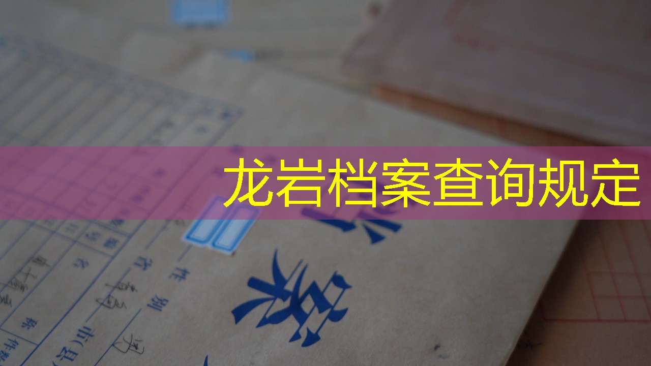 档案查询