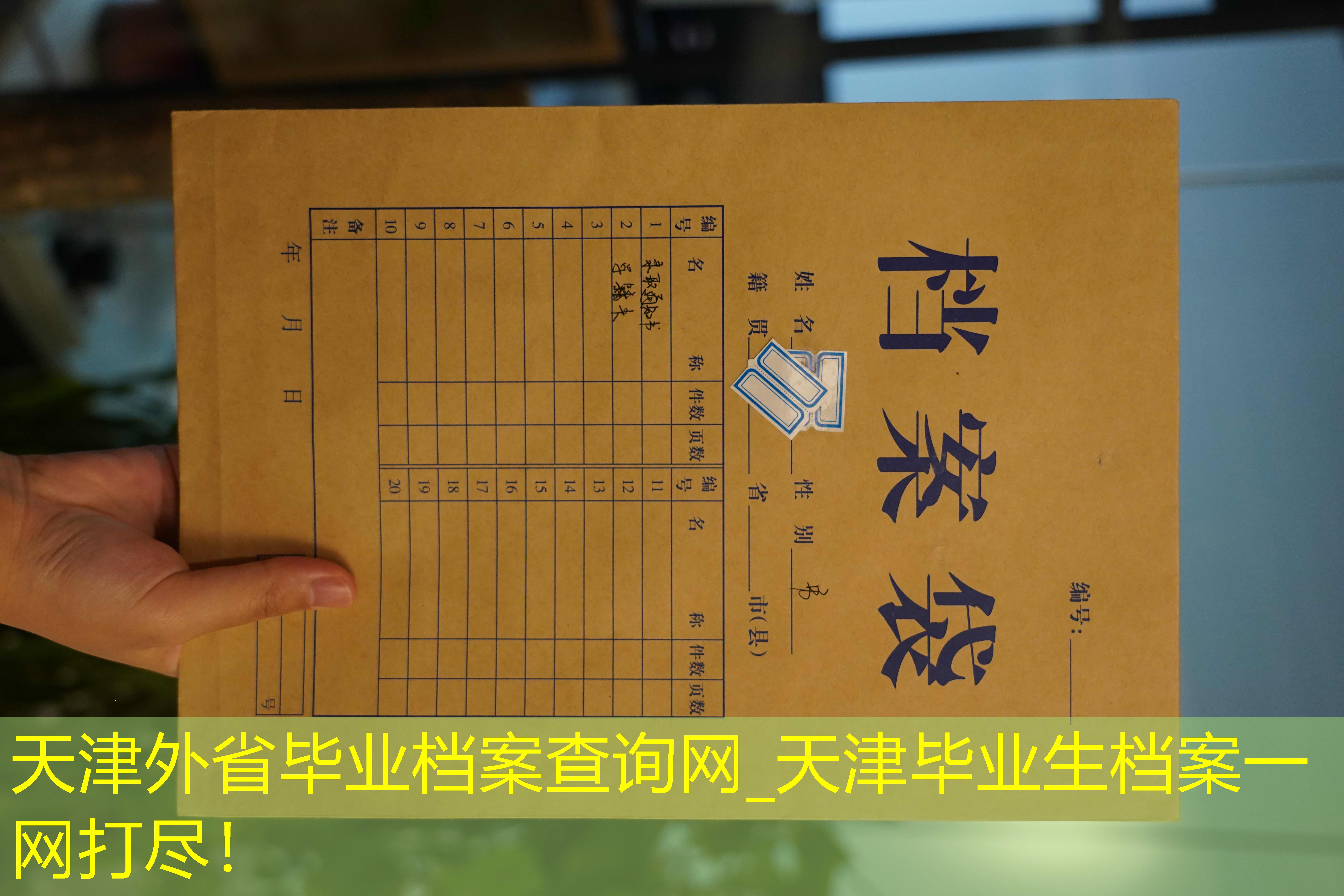 档案查询
