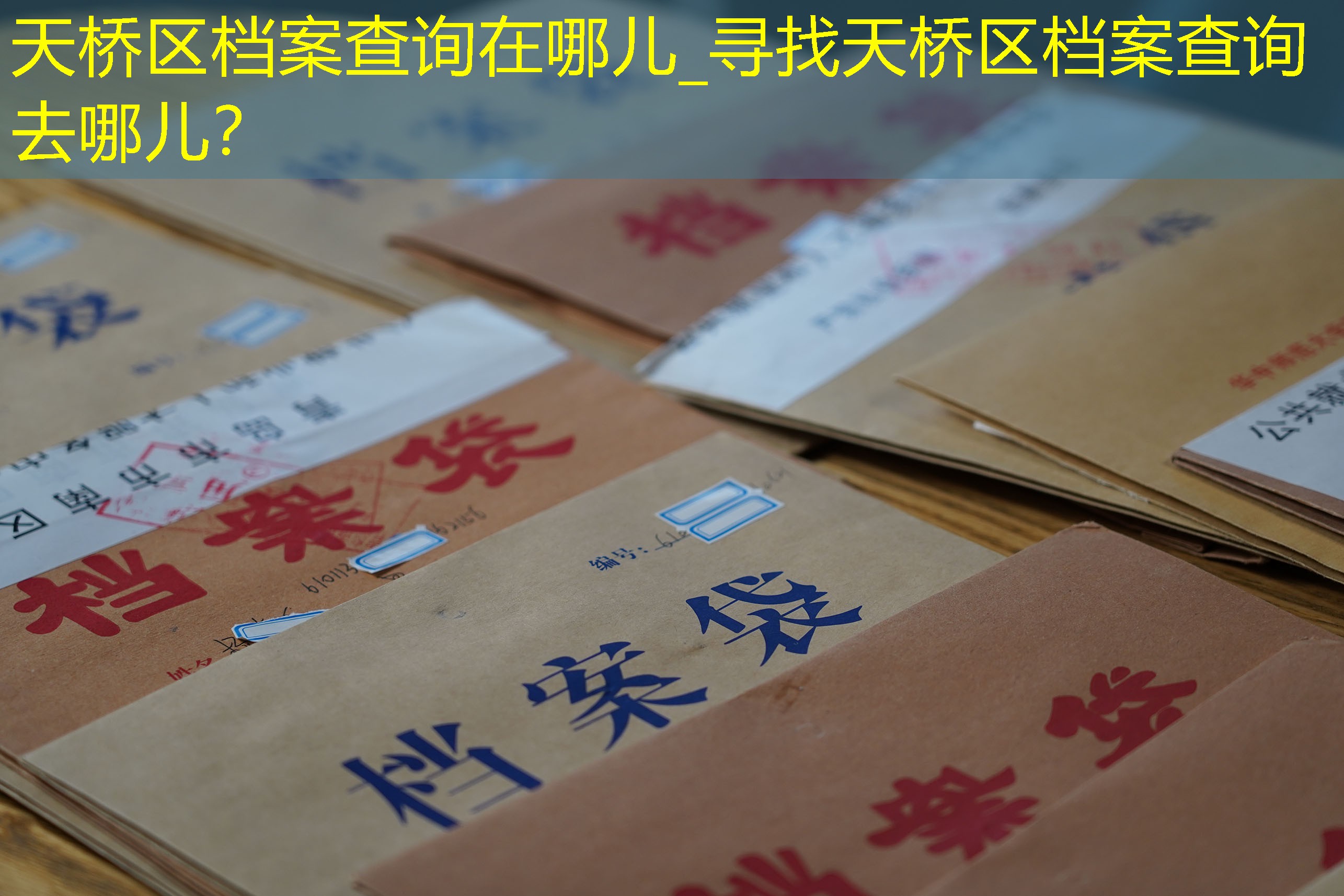 档案查询