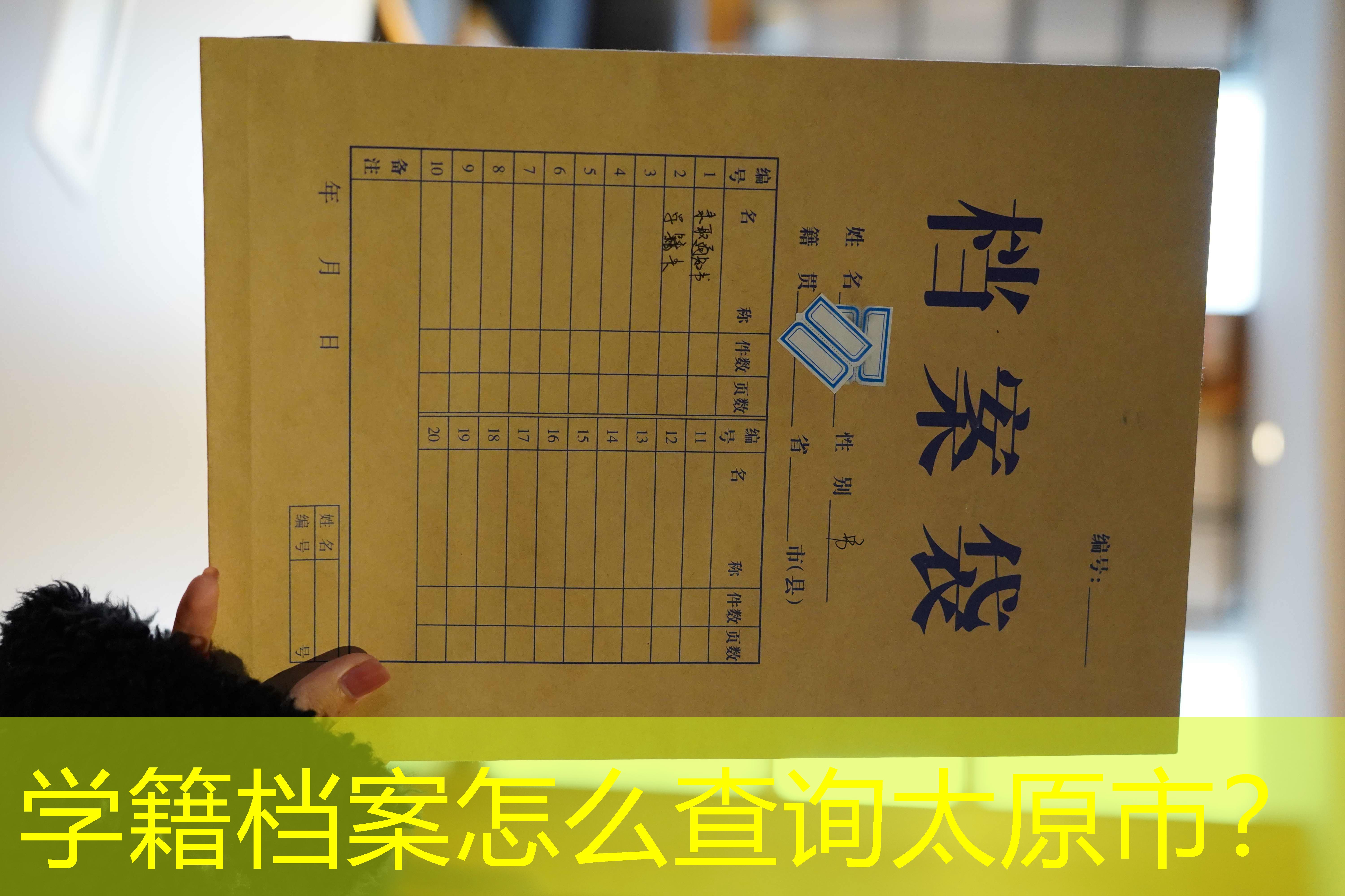 档案查询