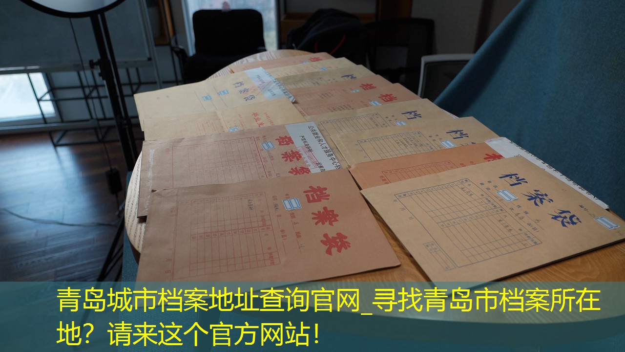 档案查询