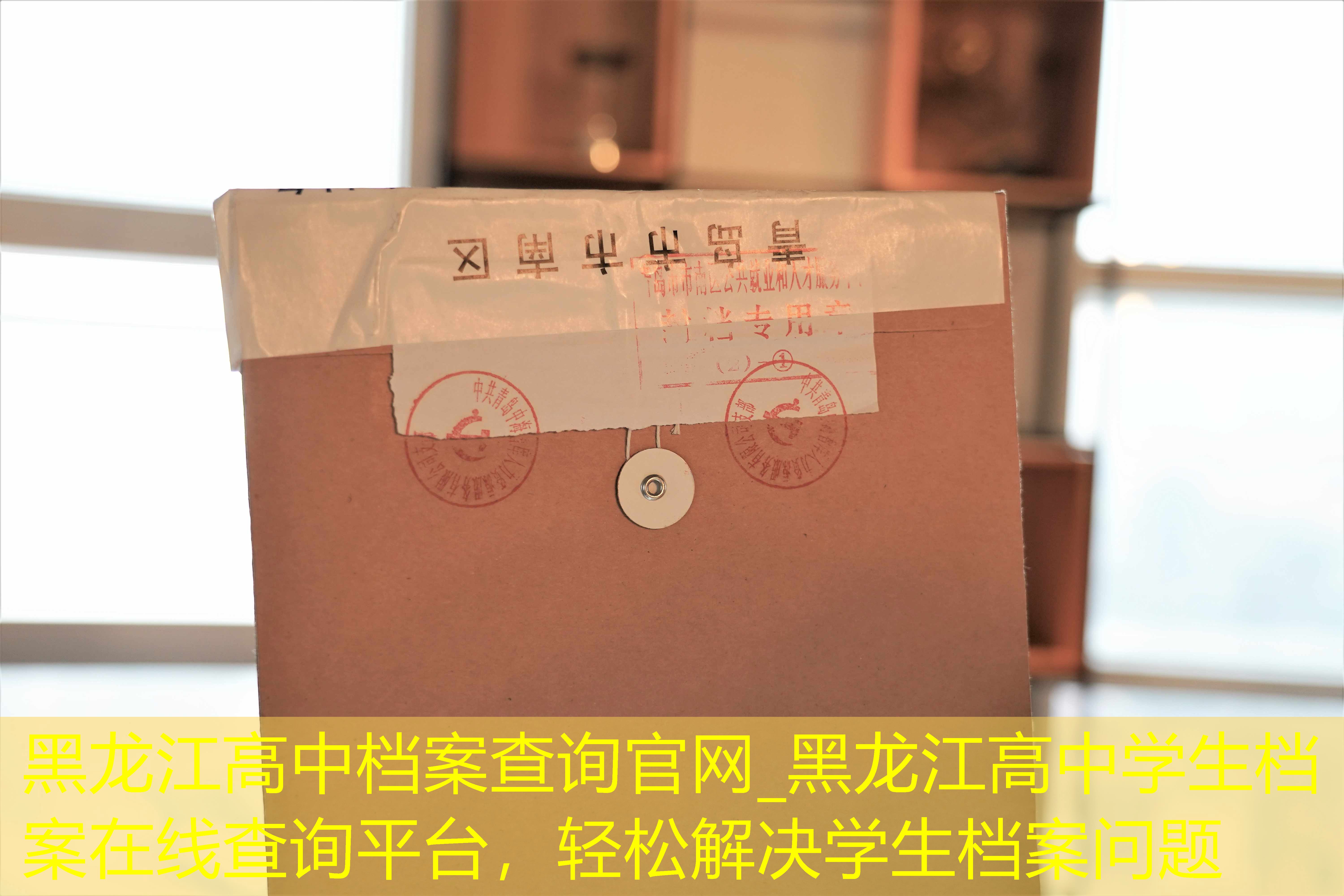 档案查询
