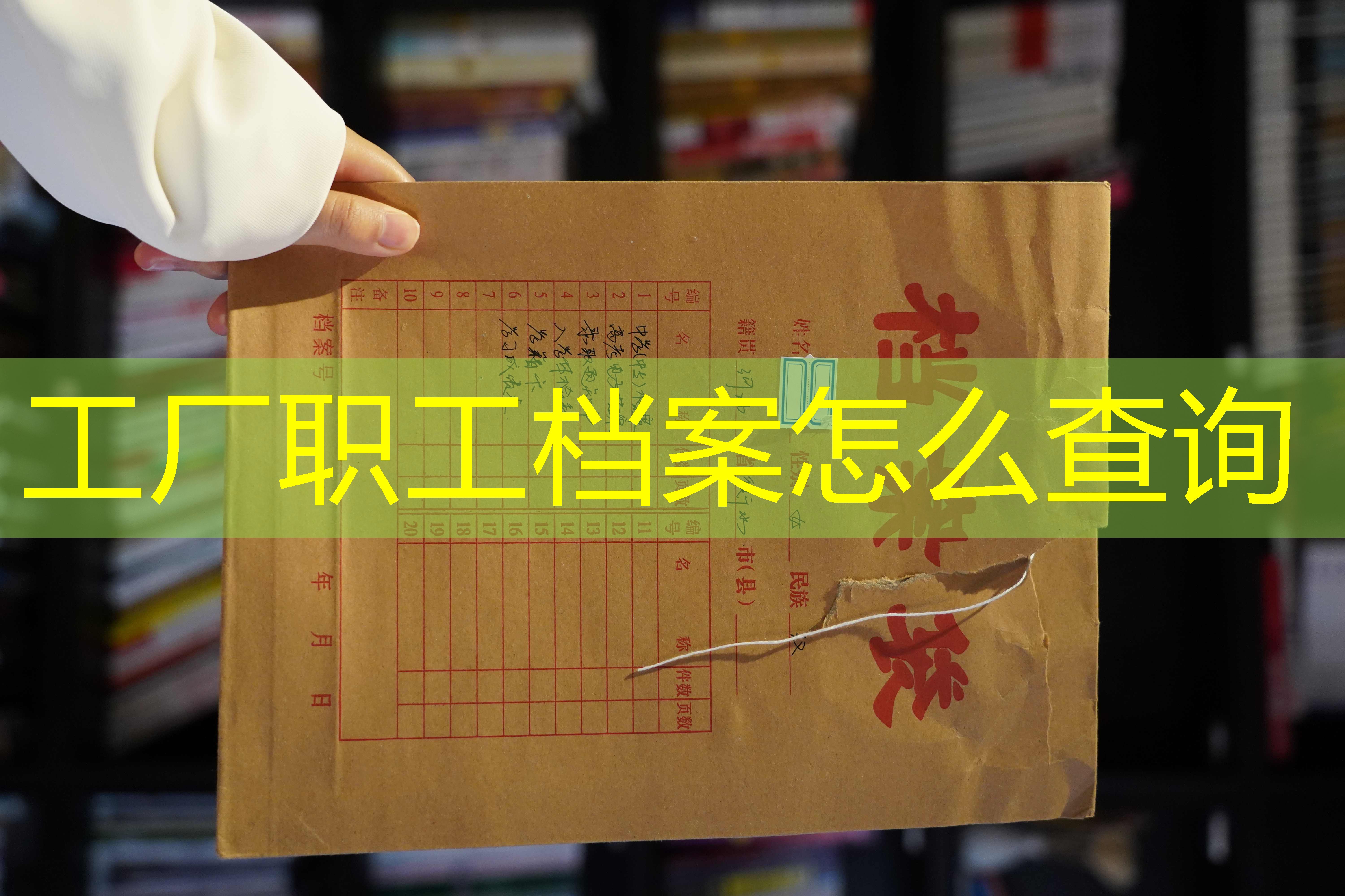 档案查询
