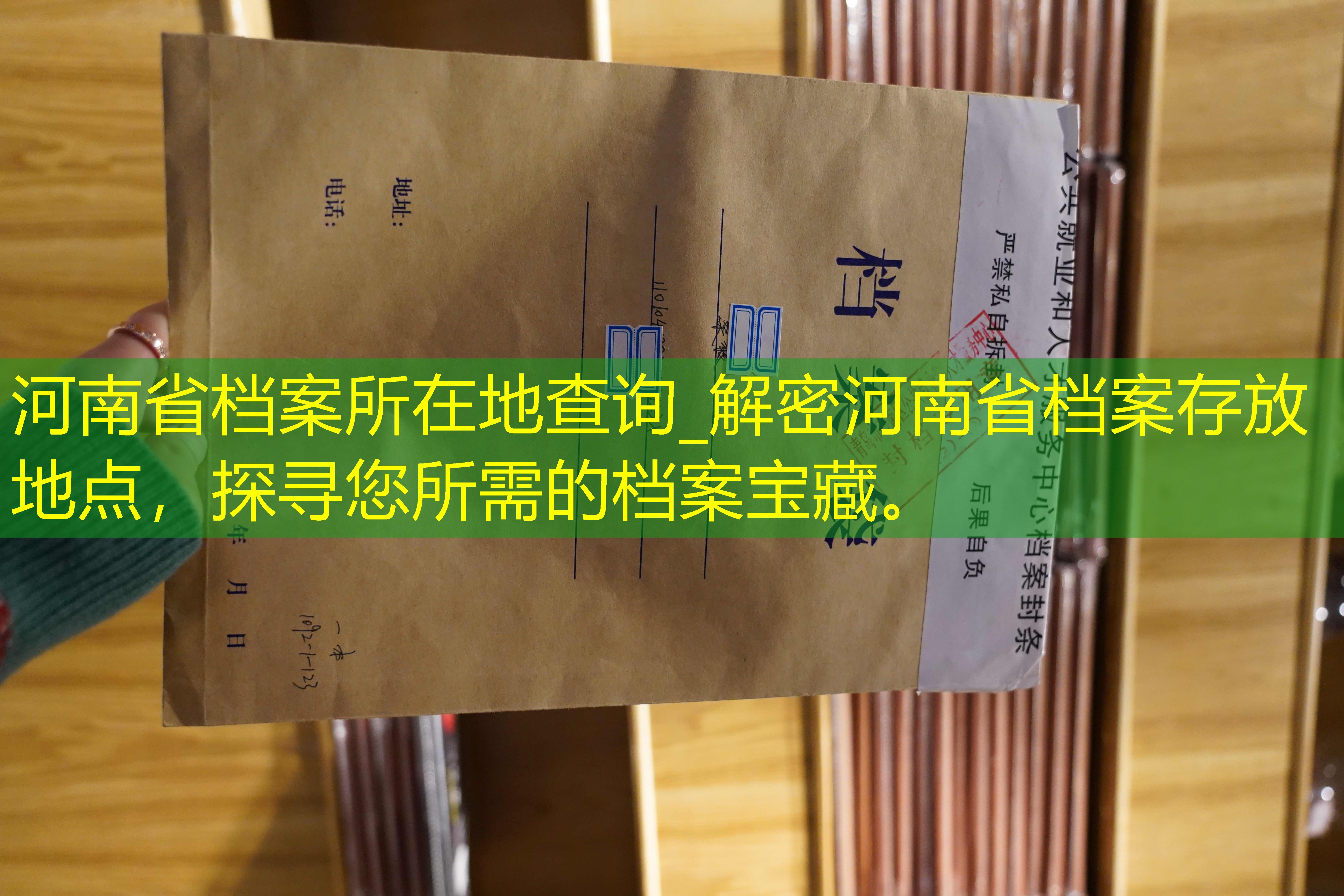 档案查询