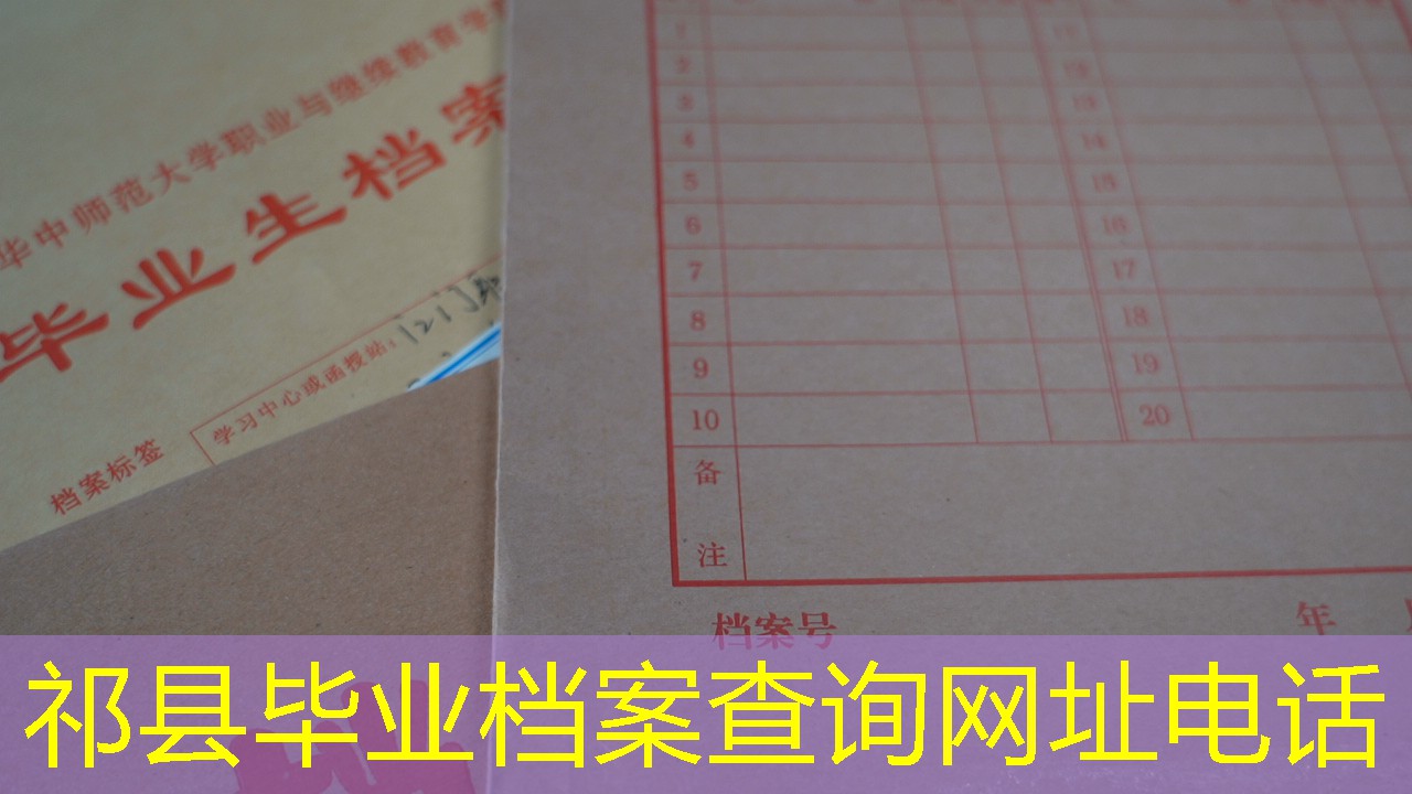 档案查询