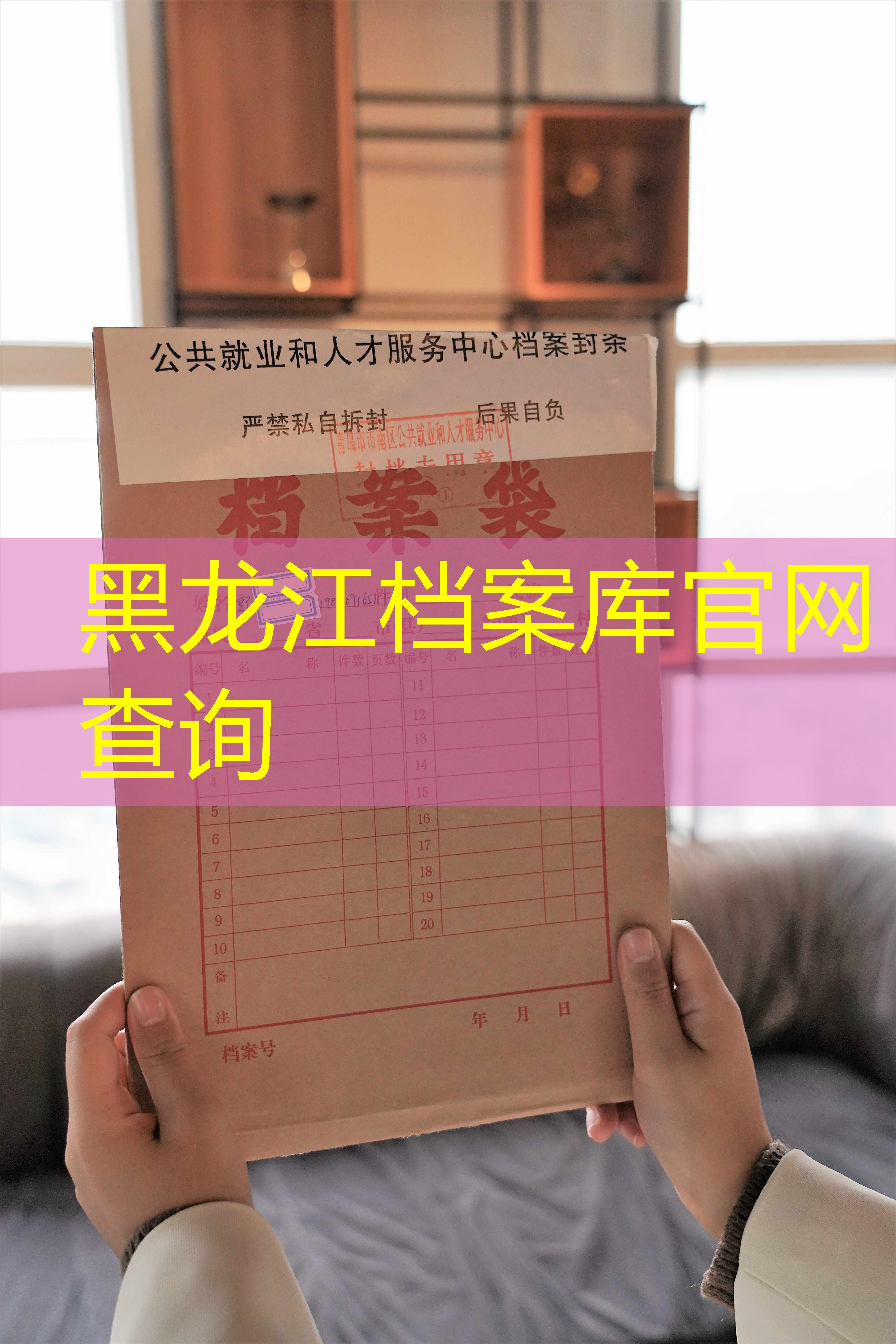 档案查询