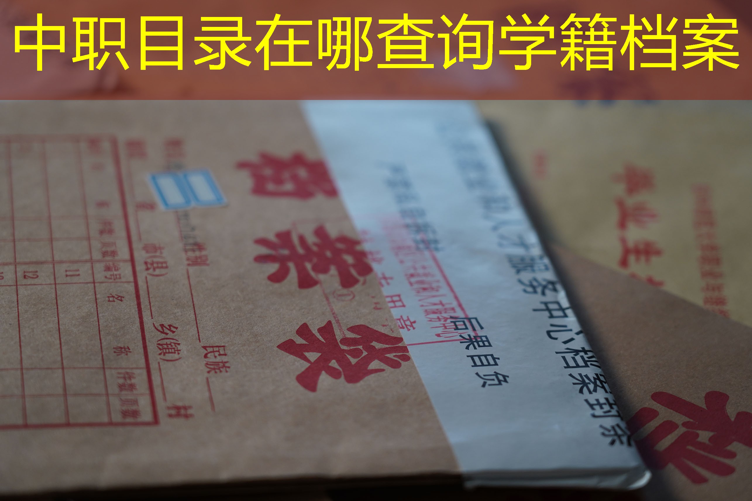 档案查询