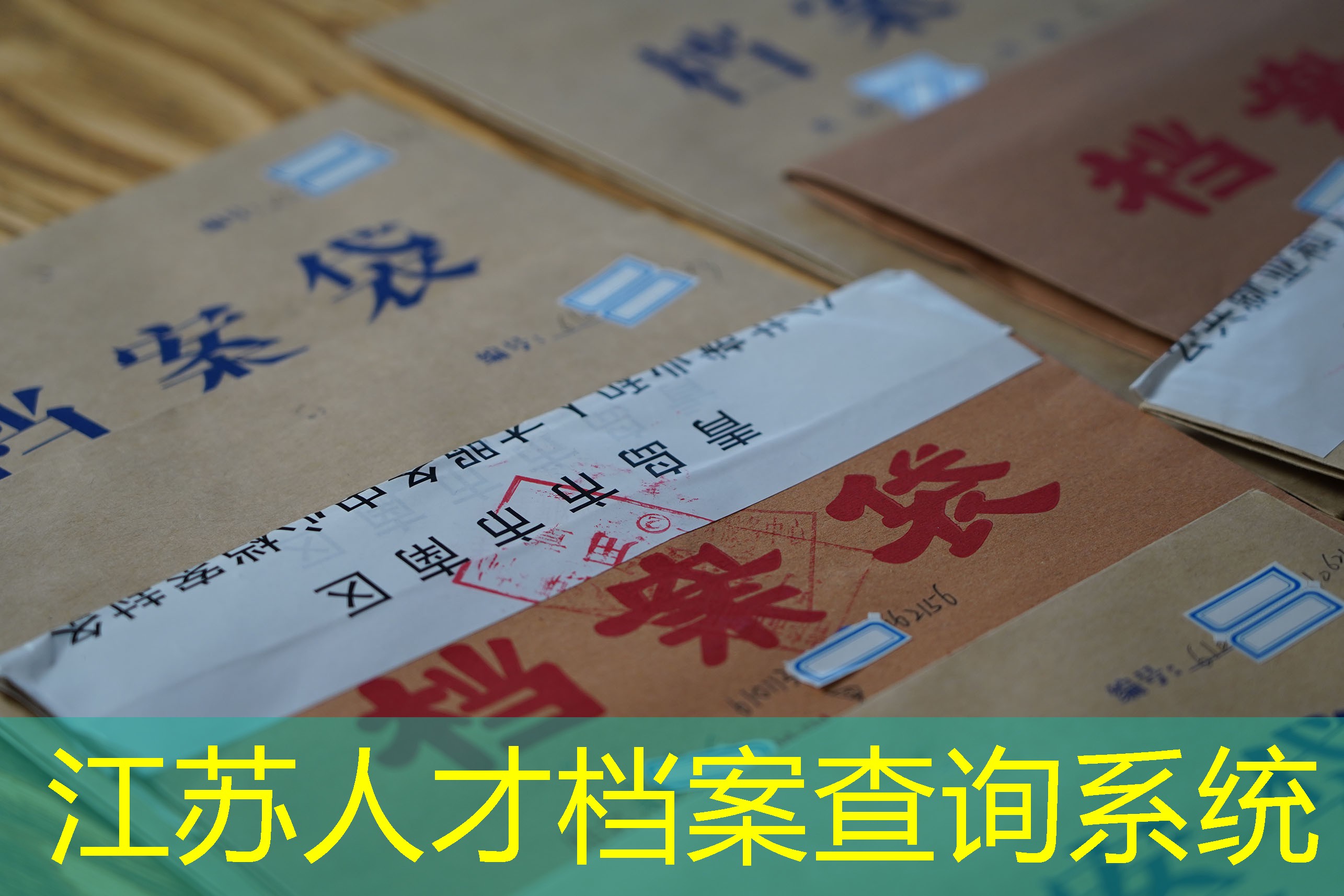 档案查询