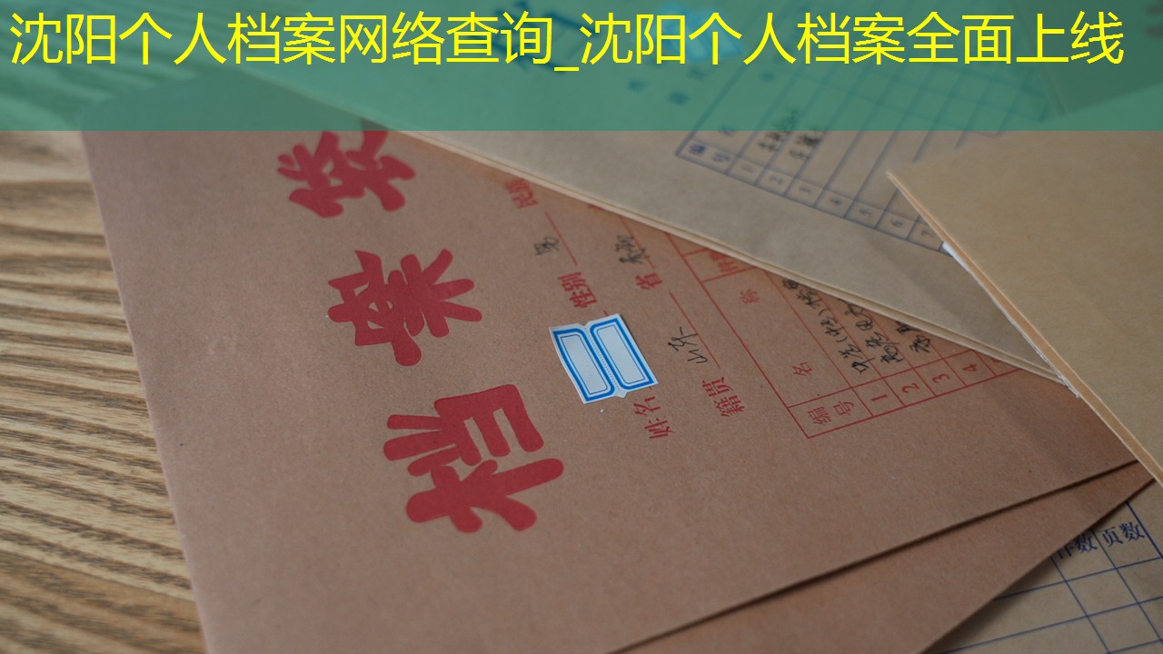 档案查询